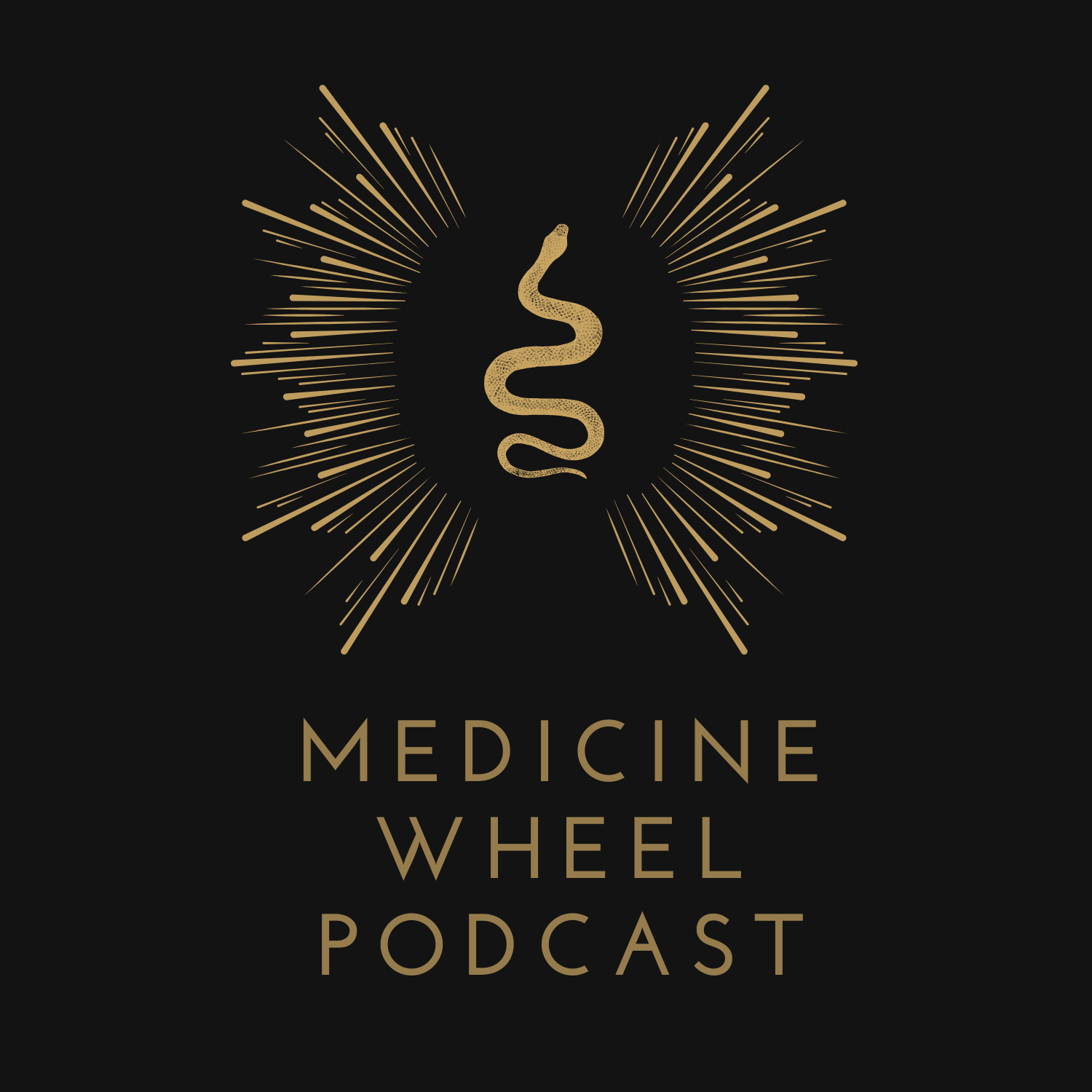 Episode 15 - The Four Agreements
