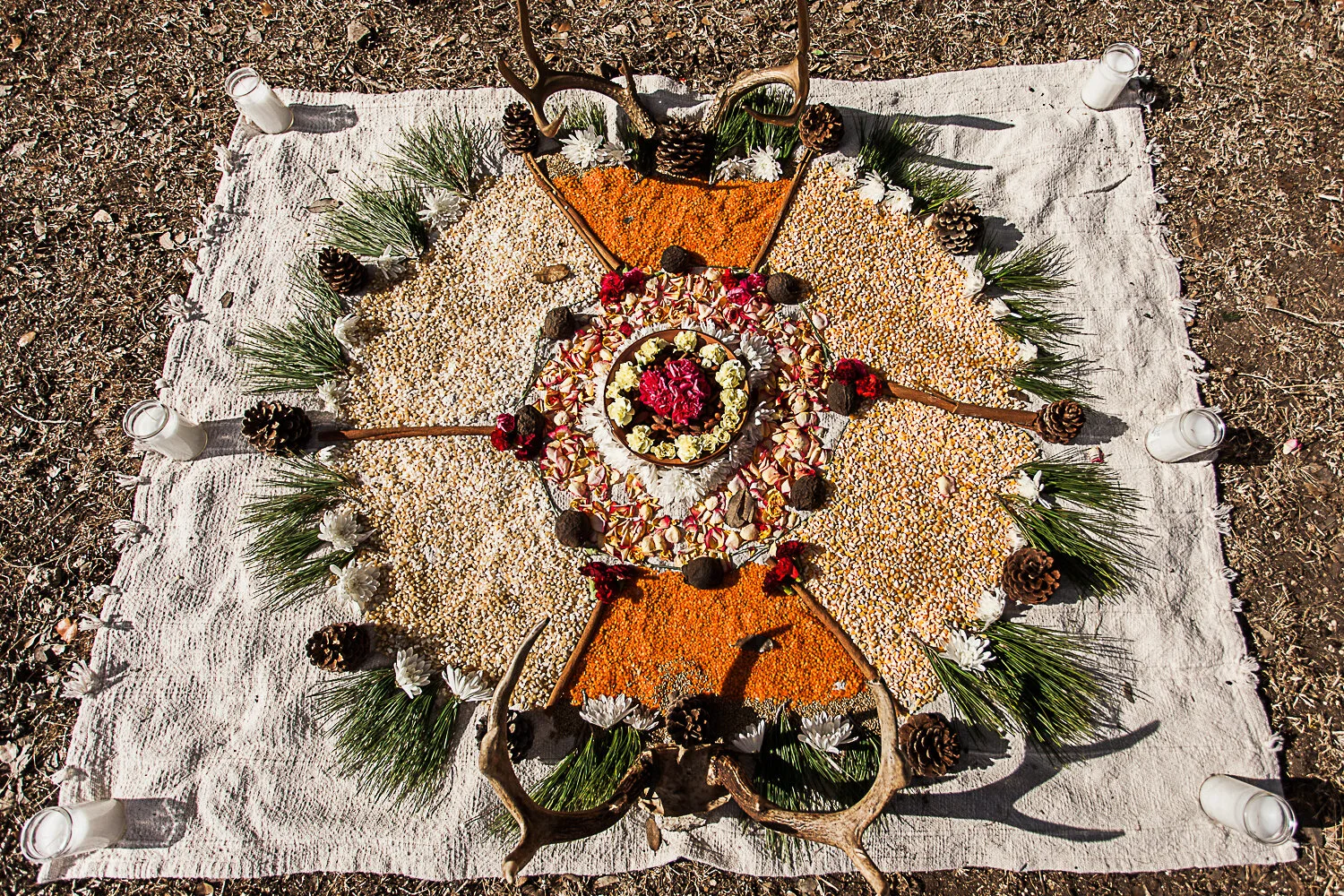 Many of us express gratitude by saying “thank you” to someone who has helped us or given us a gift. However, gratitude is not just an action: it is also a positive emotion that serves a biological purpose.⁠ Being grateful is more than saying thank y…