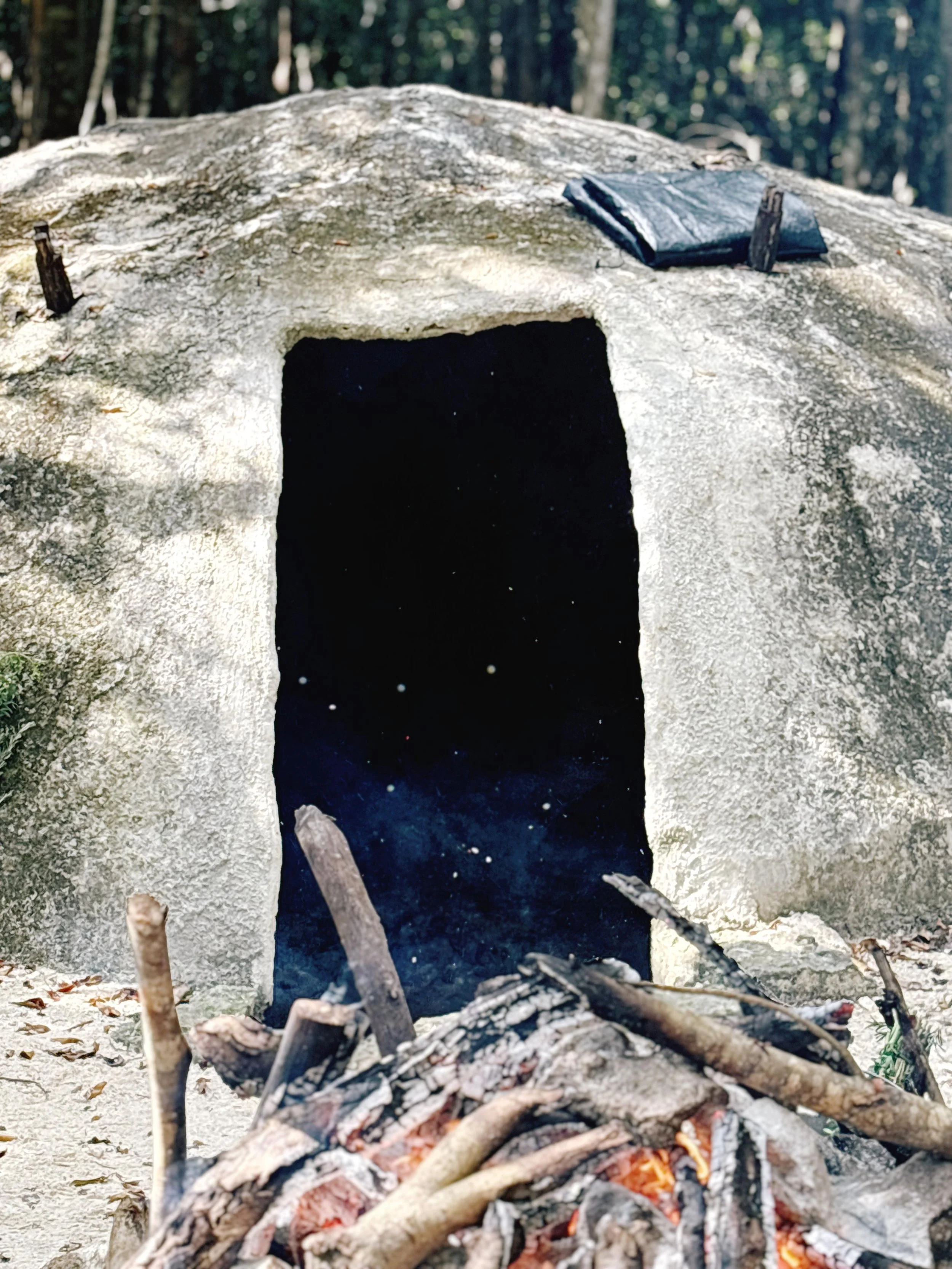 55eaed30-4a8b-46b0-bf17-69006bf3757c (1).jpg