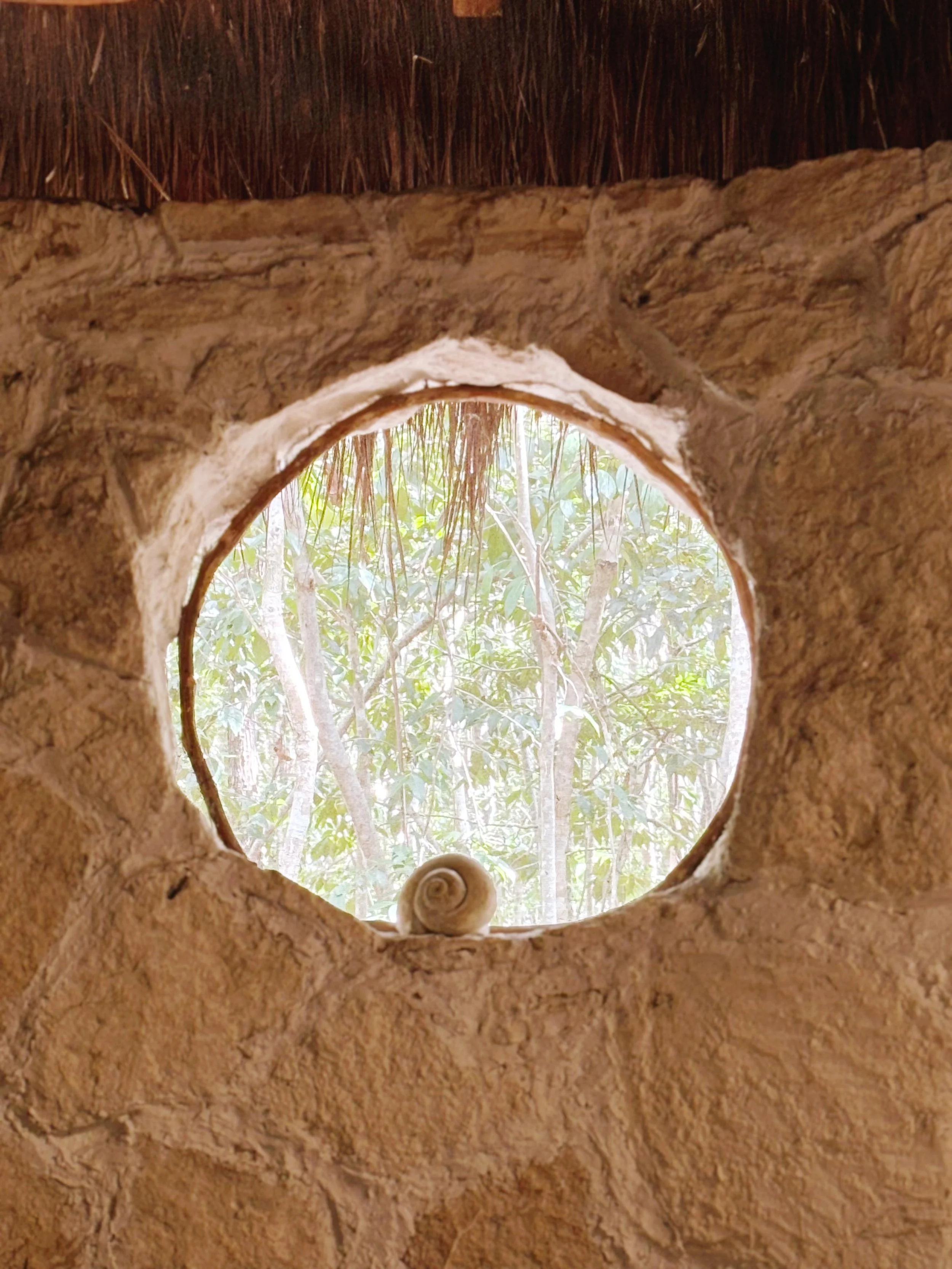 4d10b15f-f0f3-4ede-857d-accc05bf0390 (1).jpg