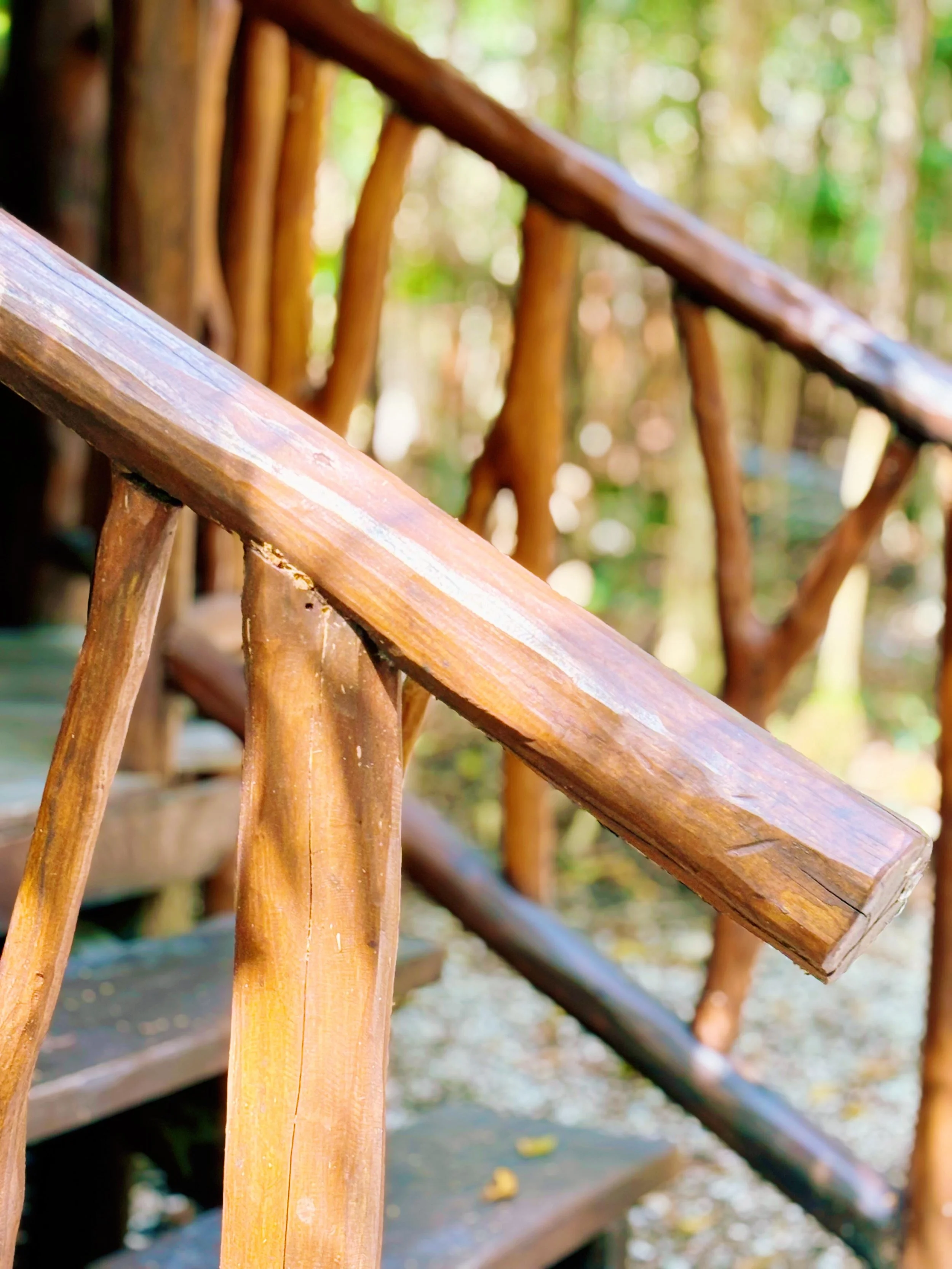 f161c801-0bfd-4ecb-87a5-810281103b03 (1).jpg