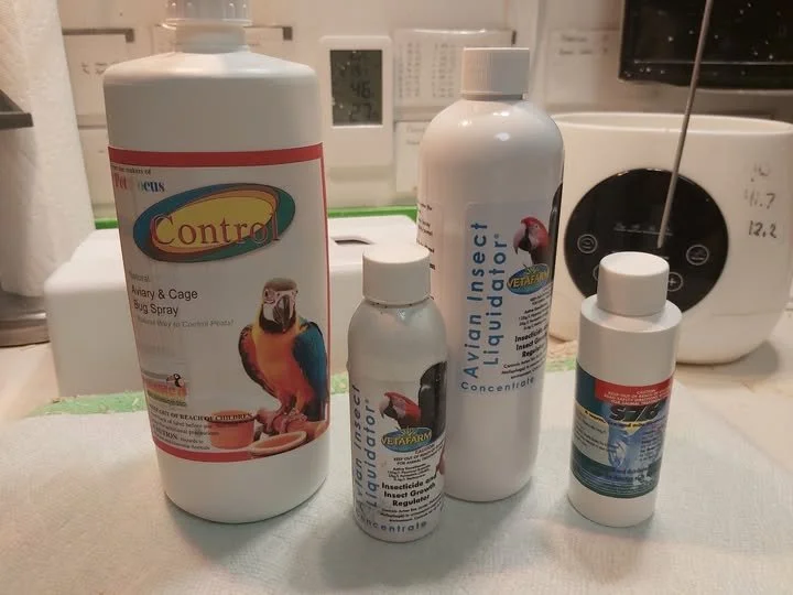 Four bottles of pest control, including a spray can with a parrot illustration, a smaller bottle with a bird image, a larger bottle labeled 'Insect Liquidator,' and a small bottle next to them, on a cloth surface with a machine and other household items in the background.
