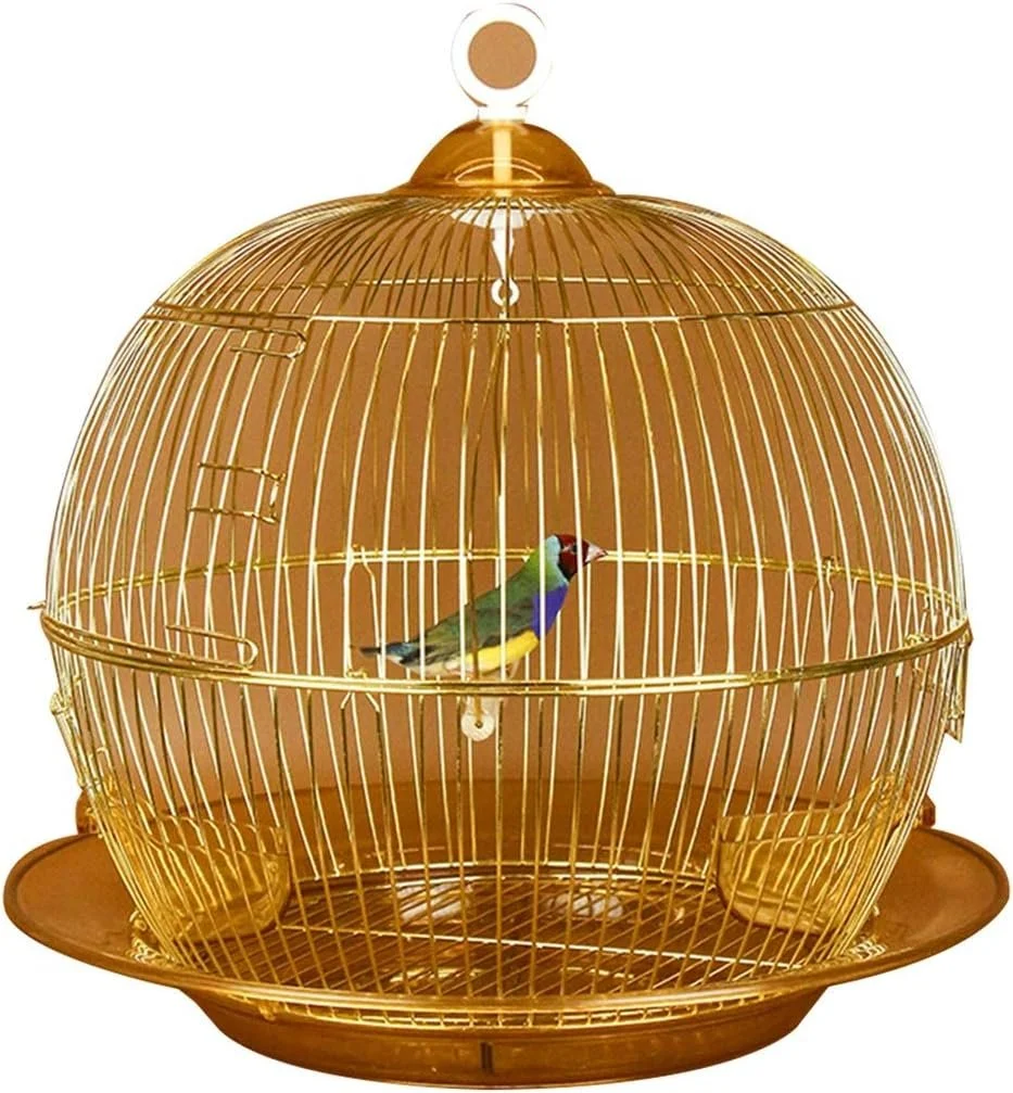 Golden birdcage with a small colorful bird inside, positioned on a circular stand.