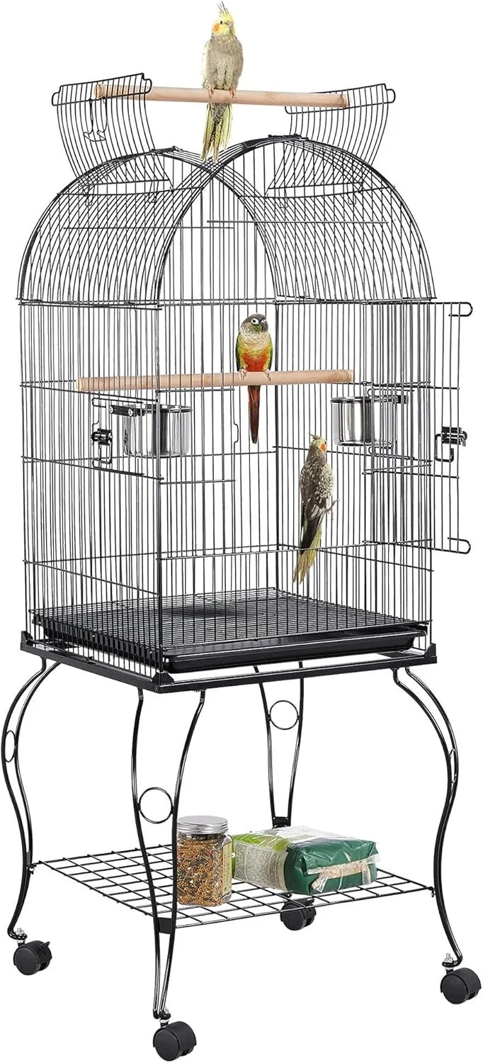 Empty birdcage with parakeets sitting on top and inside, standing on perches, with bird food and water containers attached to the cage.