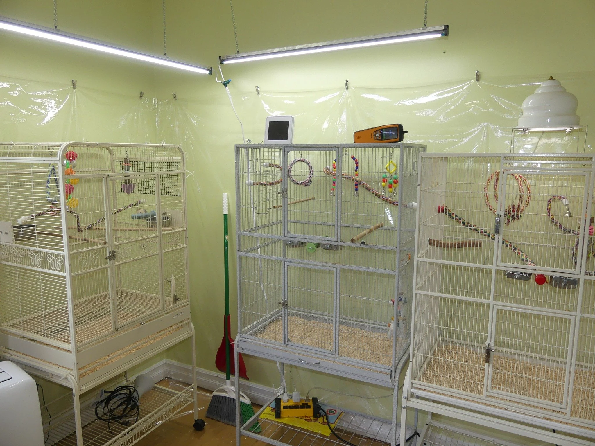 Room with three large animal cages, cleaning supplies, and various toys and toys inside the cages, on a yellow wall with two fluorescent lights.
