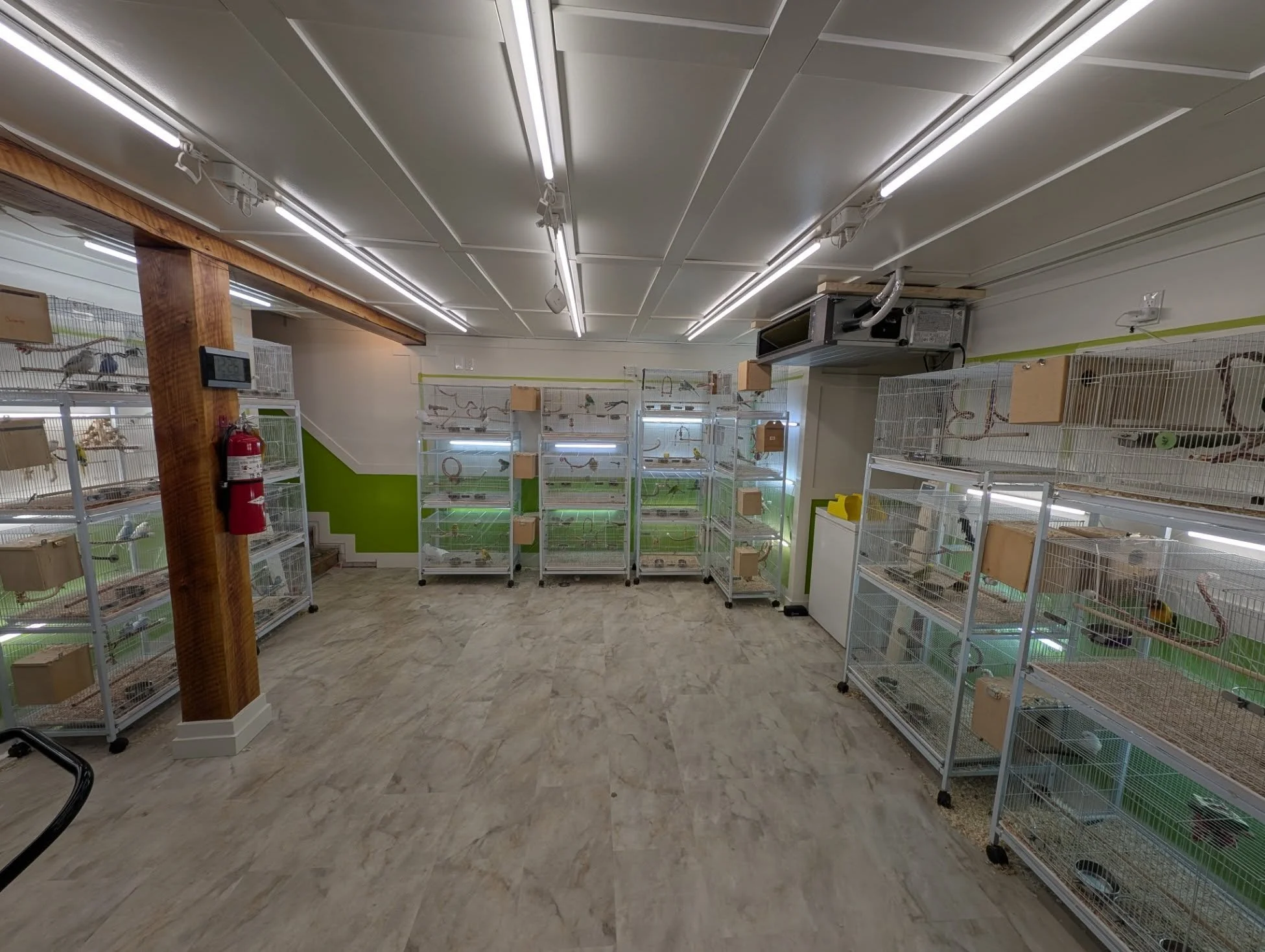 Room with multiple cages containing exotic pets like snakes and lizards, with bright overhead lighting, green accent wall, and fire extinguisher mounted on a wooden column.