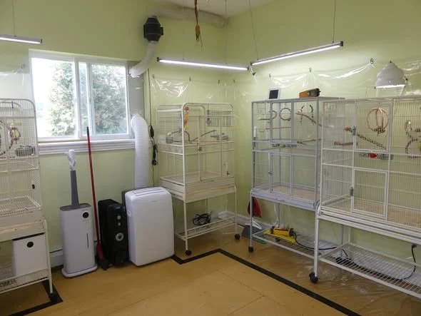 Room with multiple empty bird cages on wheels, a window, and various cleaning and maintenance equipment.