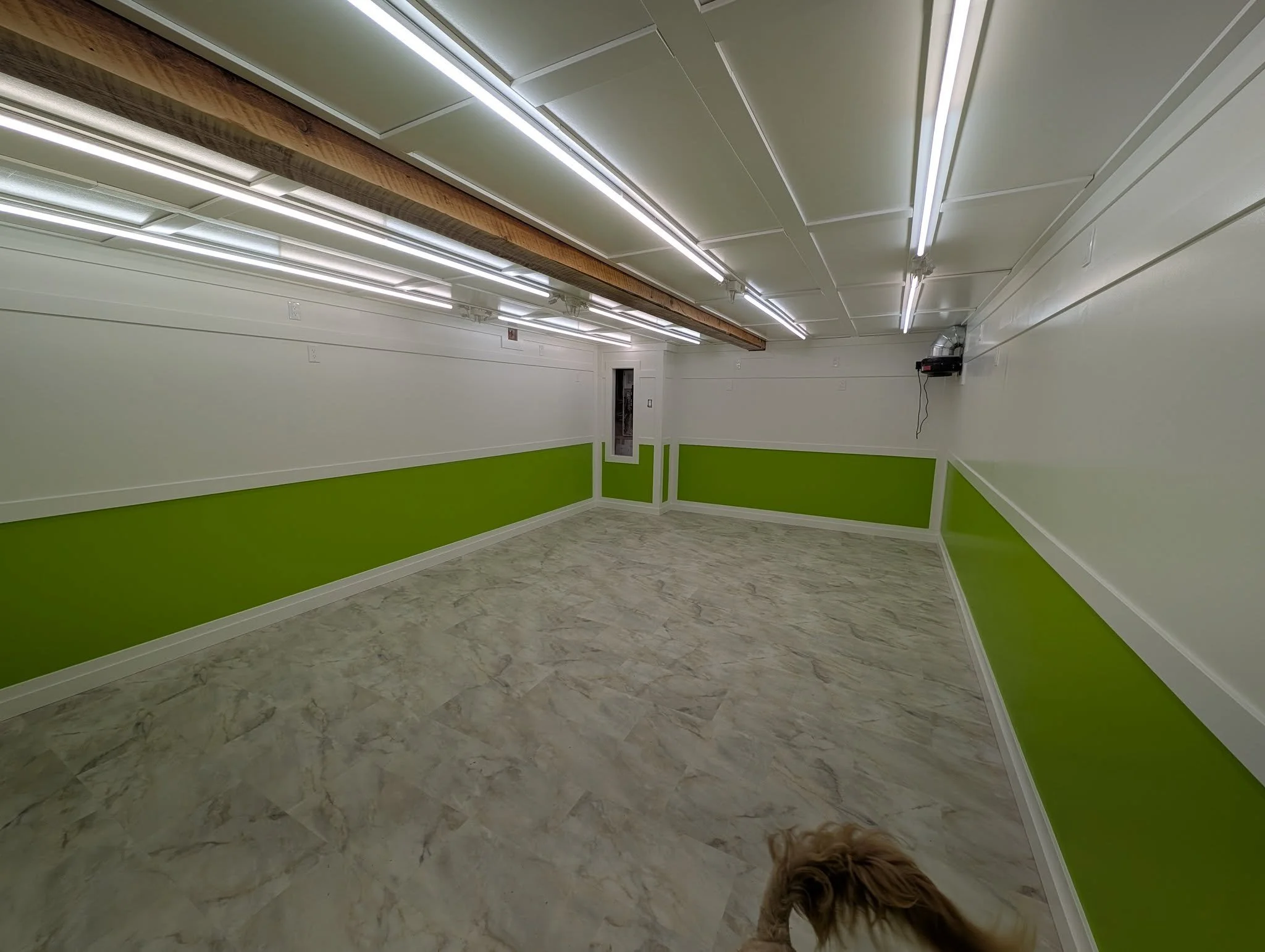 Empty room with white walls, green lower wall paneling, marble-like floor, and fluorescent lighting. A small dog is partially visible at the bottom of the image.