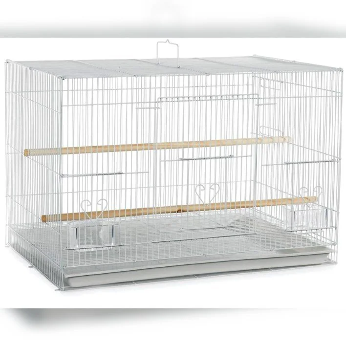 Empty white birdcage with two perches and a small door, on a white background.