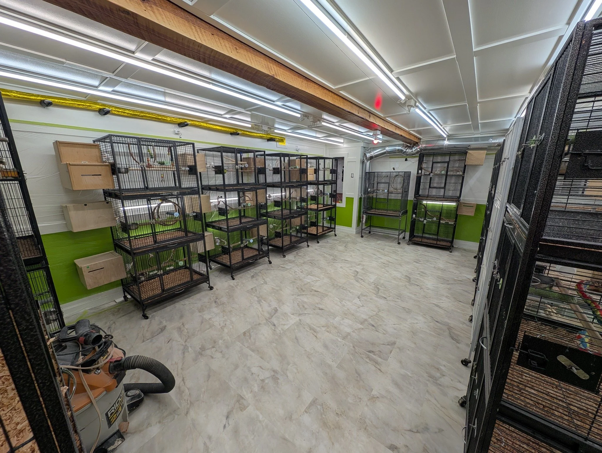 Room with multiple black cage enclosures and wooden shelves, likely a pet shelter or rescue facility for small animals, with fluorescent lighting and a vacuum cleaner in the corner.