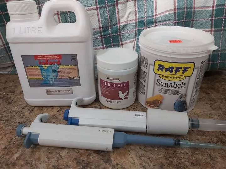 Collection of veterinary medications and syringes on a kitchen countertop, including a large white bottle, a small container labeled Ferti-Vit, a bucket labeled Sanabelt, and two syringes.