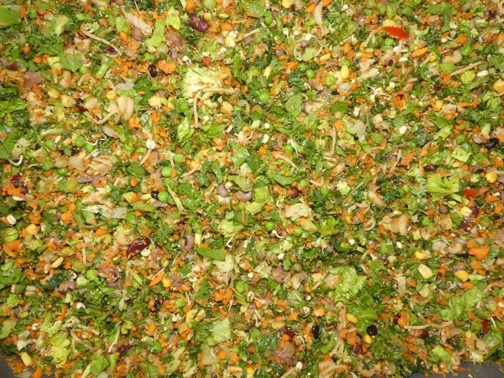 Close-up of chopped vegetables, including lettuce, carrots, and possibly some purple onion.