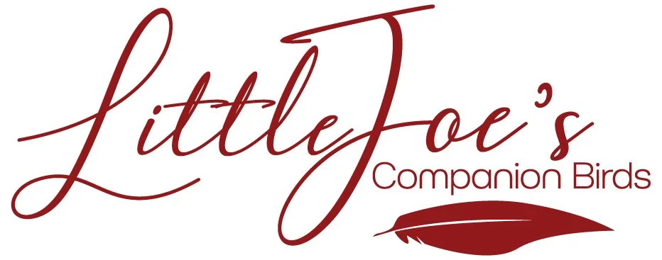 Little Joe's Companion Birds