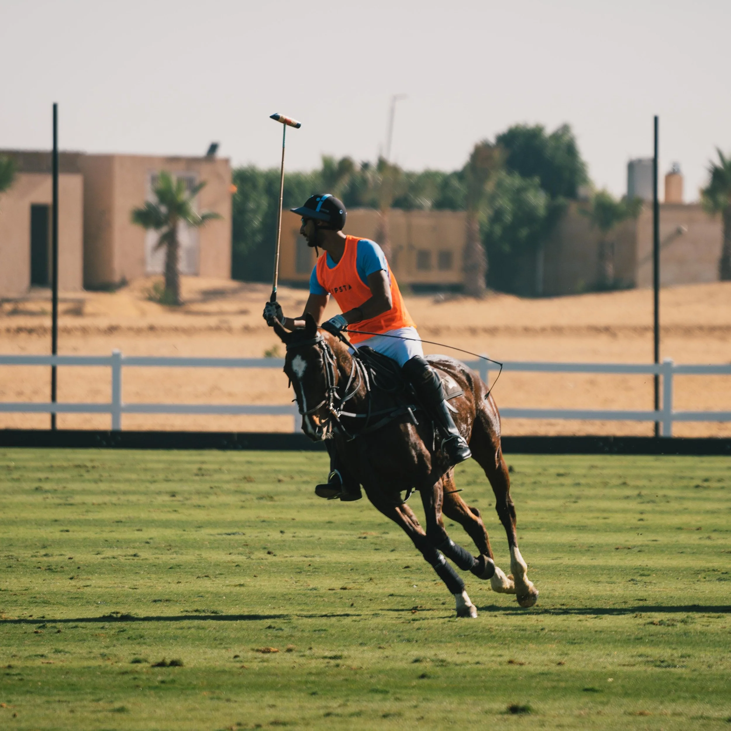 What Golf and Polo Taught Me About Business