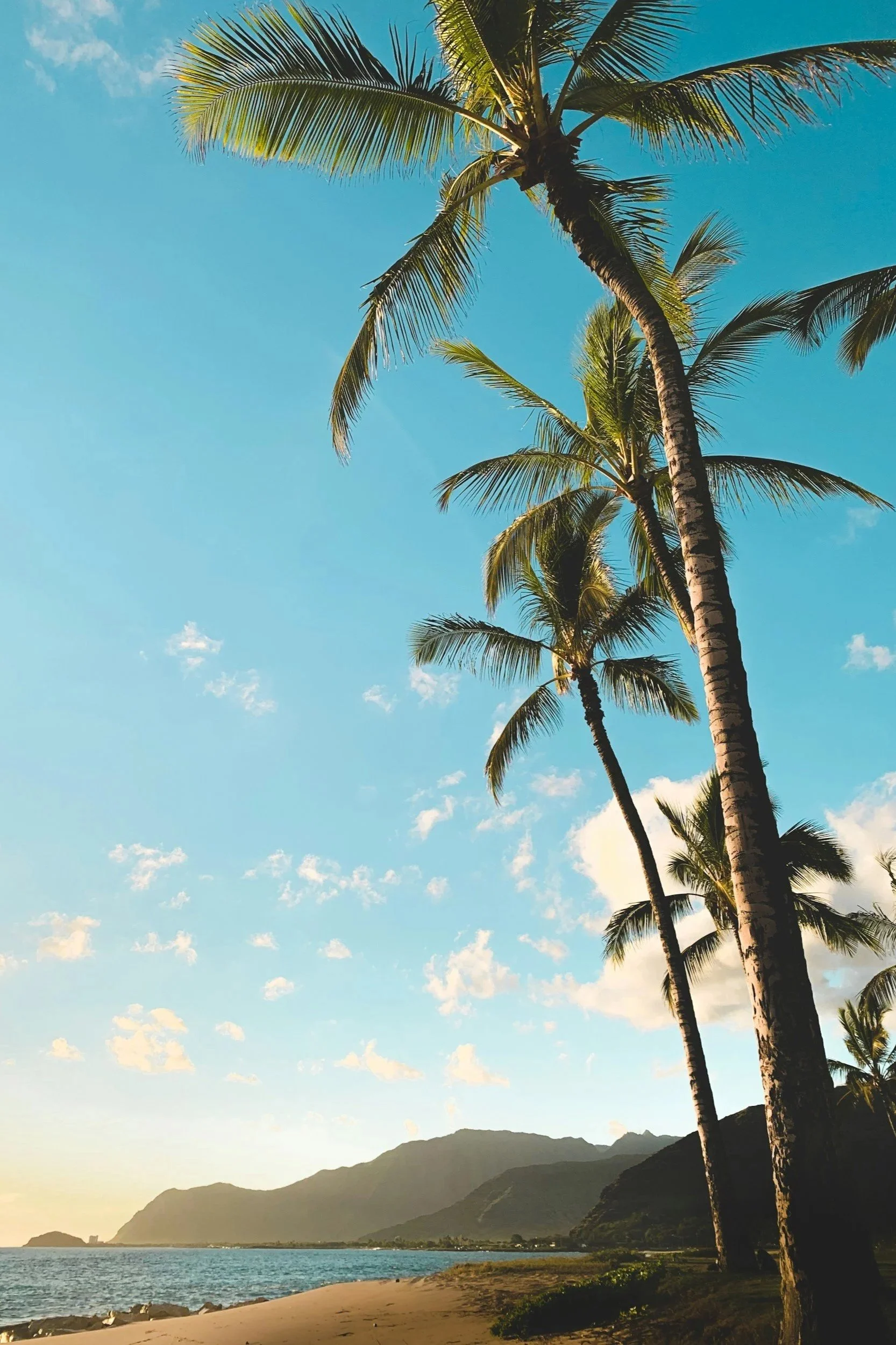 Children's author Karyn Hopper