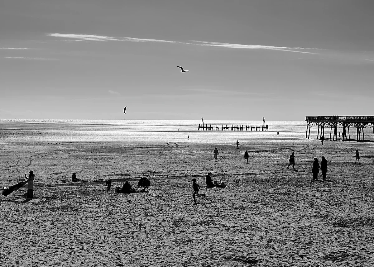 northwest coast vast beach seagull lancashire ine art photography by ManChingKC