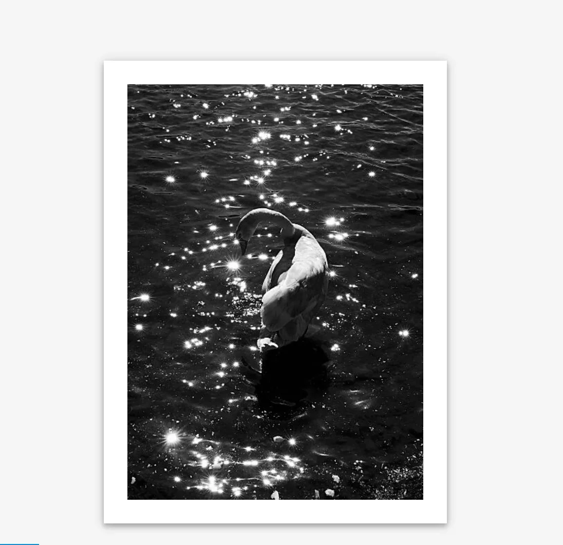 Screenshot 2026-04-12 at 23.30.11.webp