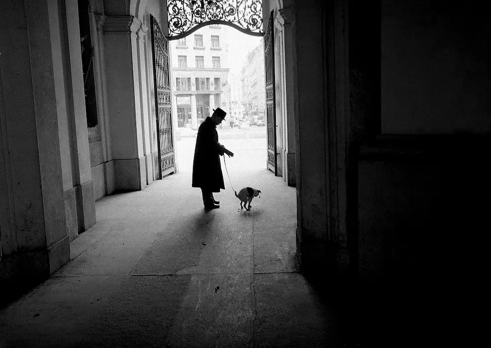 14TH BLACK & WHITE SPIDER AWARDS 2019   2nd Place - Merit of Excellence