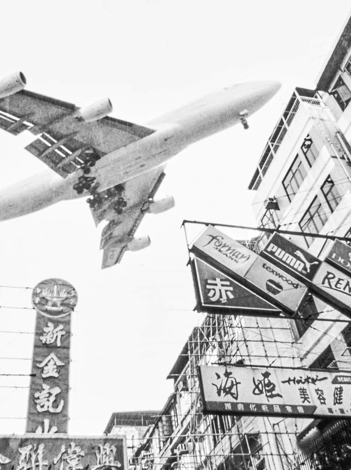 20220608-2021 raw27456 1.webp