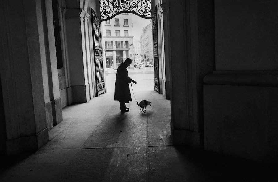 KC Black and White Fine Art - Old Man and Dog in Vienna⁠