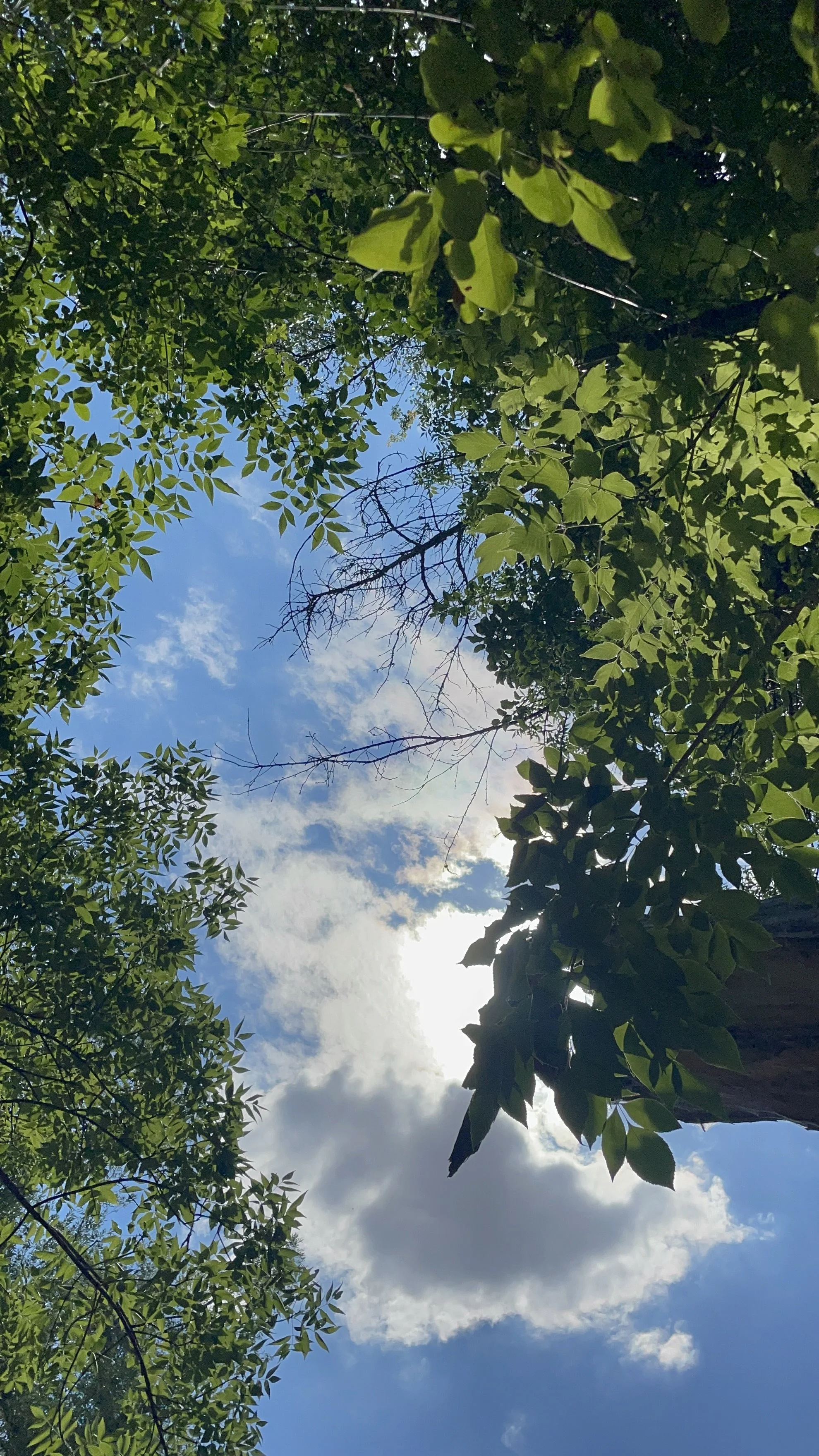 Your Cloud