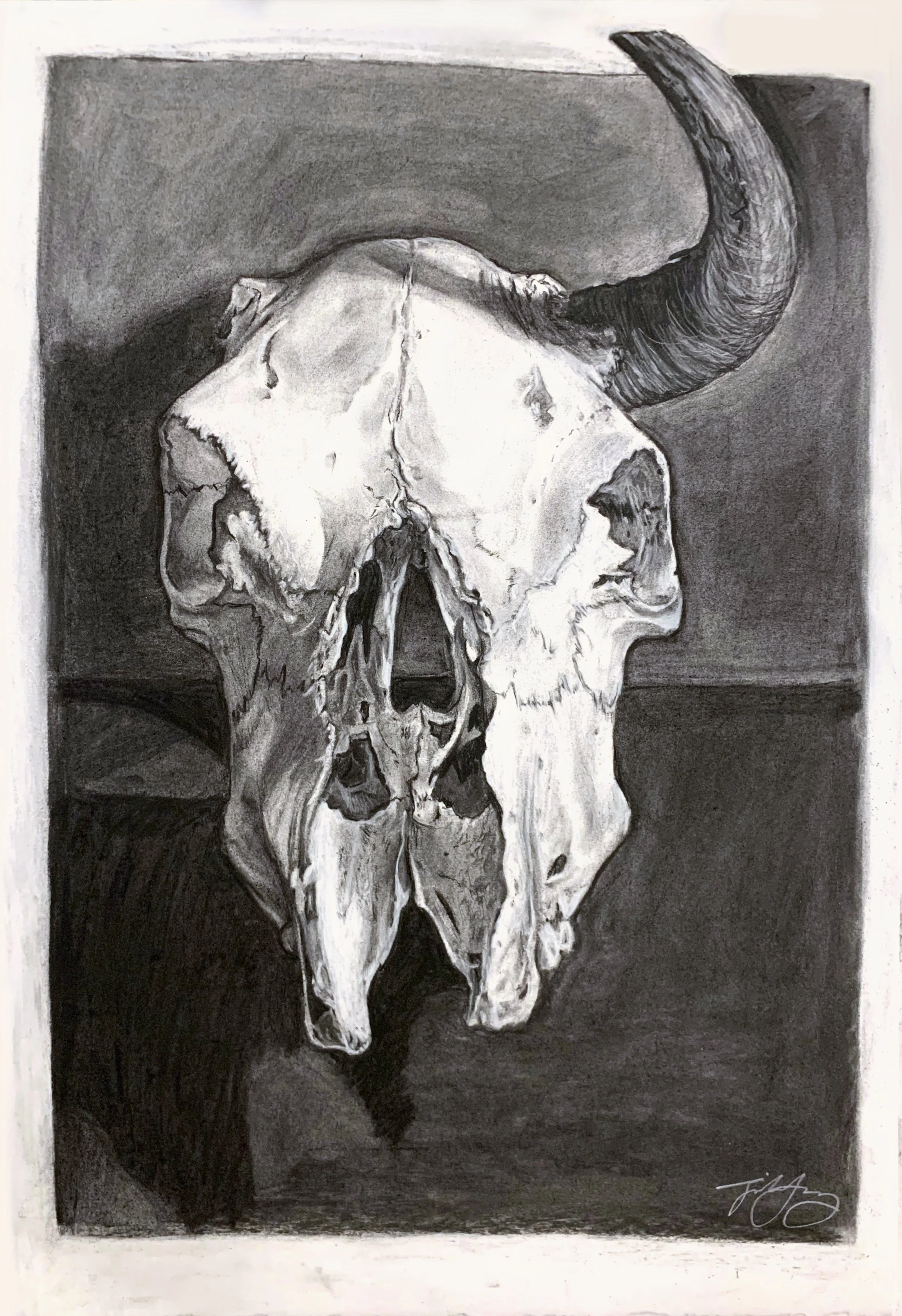Untitled, 2023, charcoal on paper