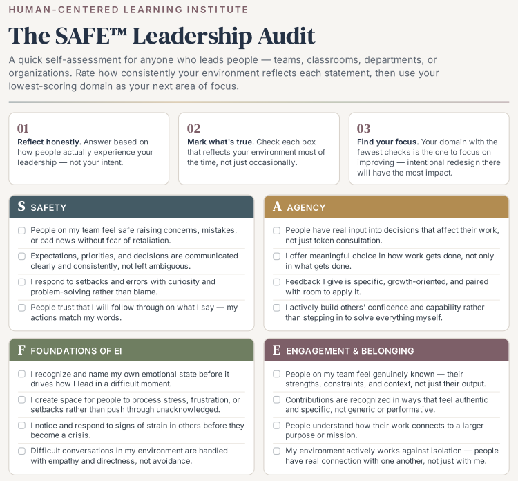 The SAFE Leadership Audit