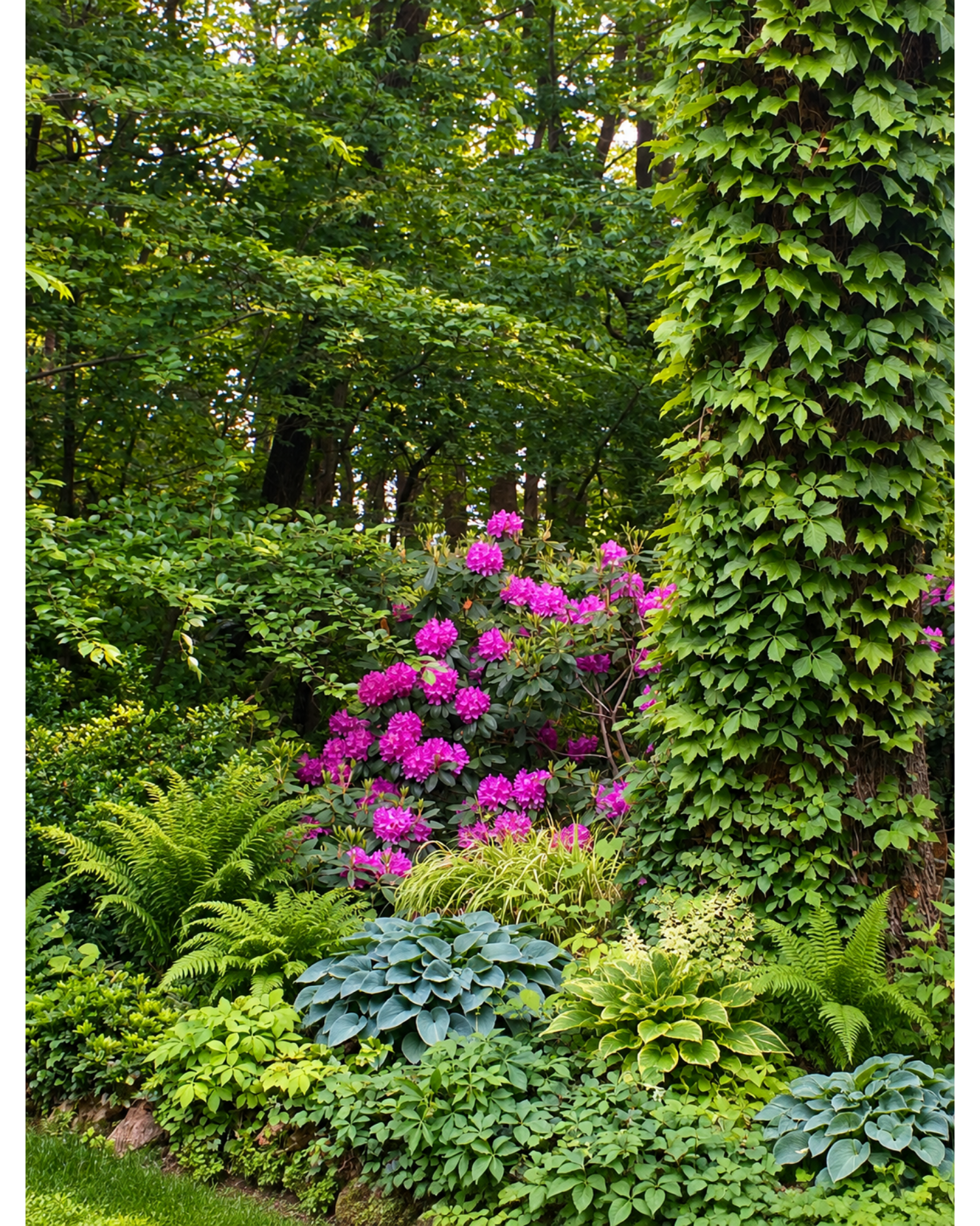 Fifty Shades of Green