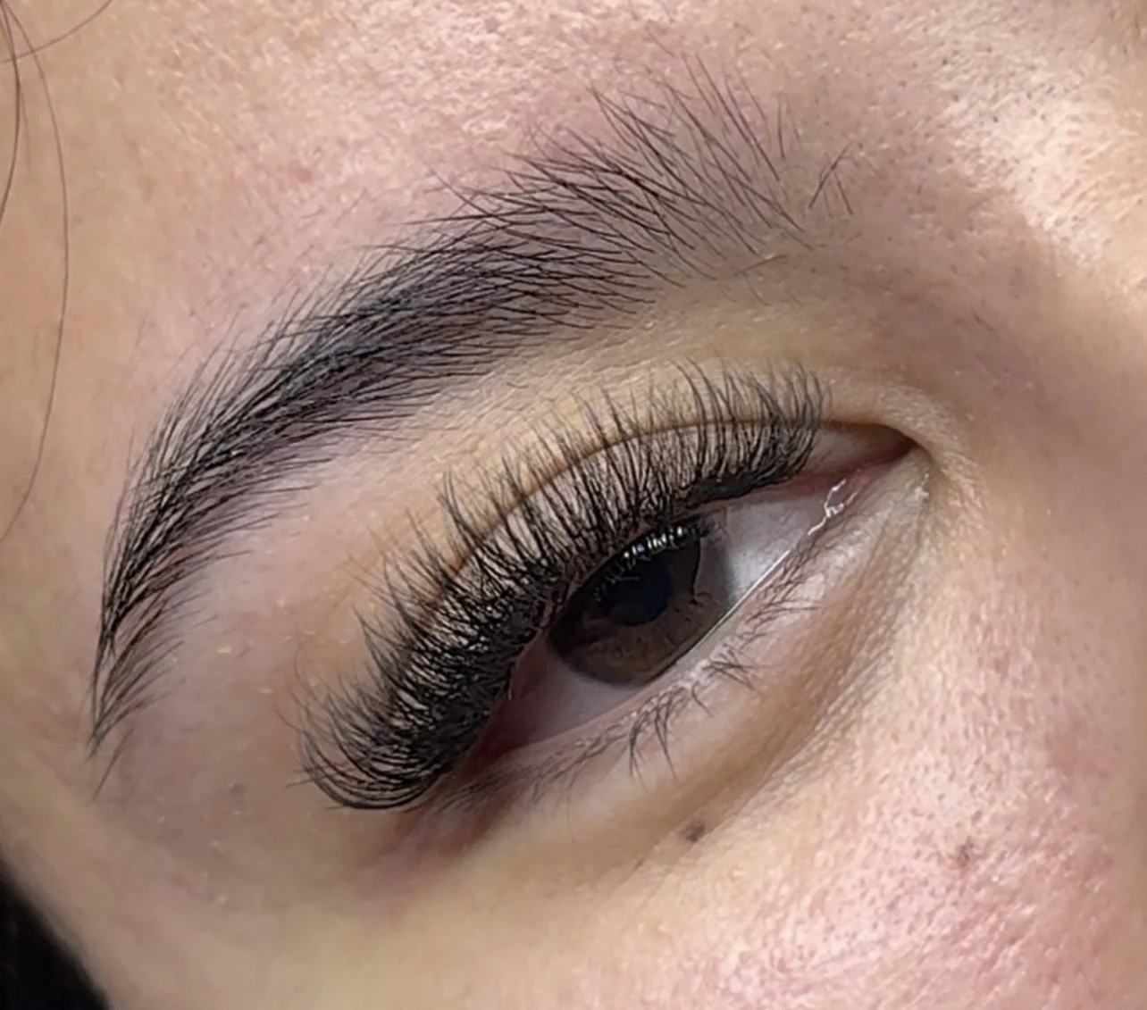 Hybrid Lashes