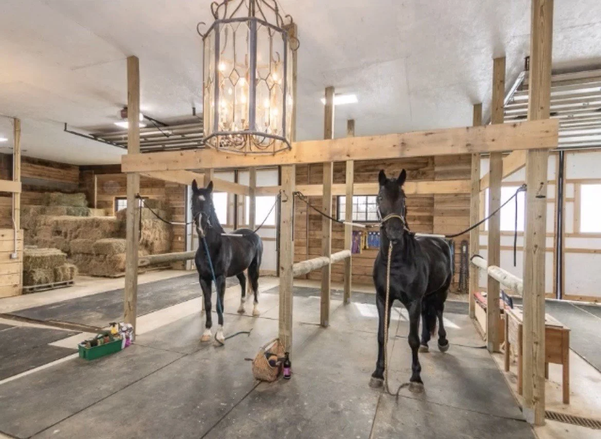 Horses in Main Barn.jpg