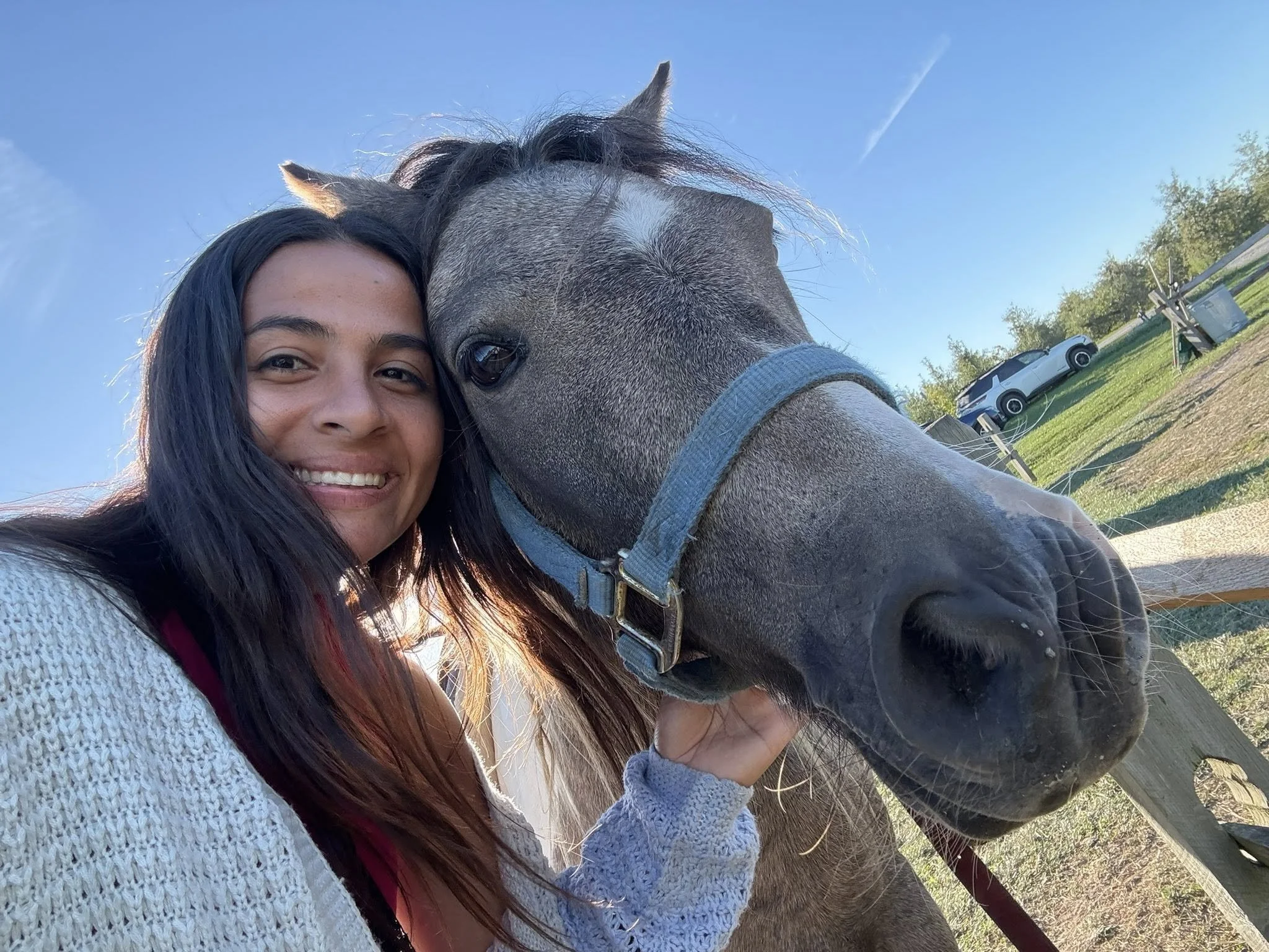 A young woman with long dark hair smiling while standing next to a horse with a gray coat and a blue halter in a farm setting on a sunny day.