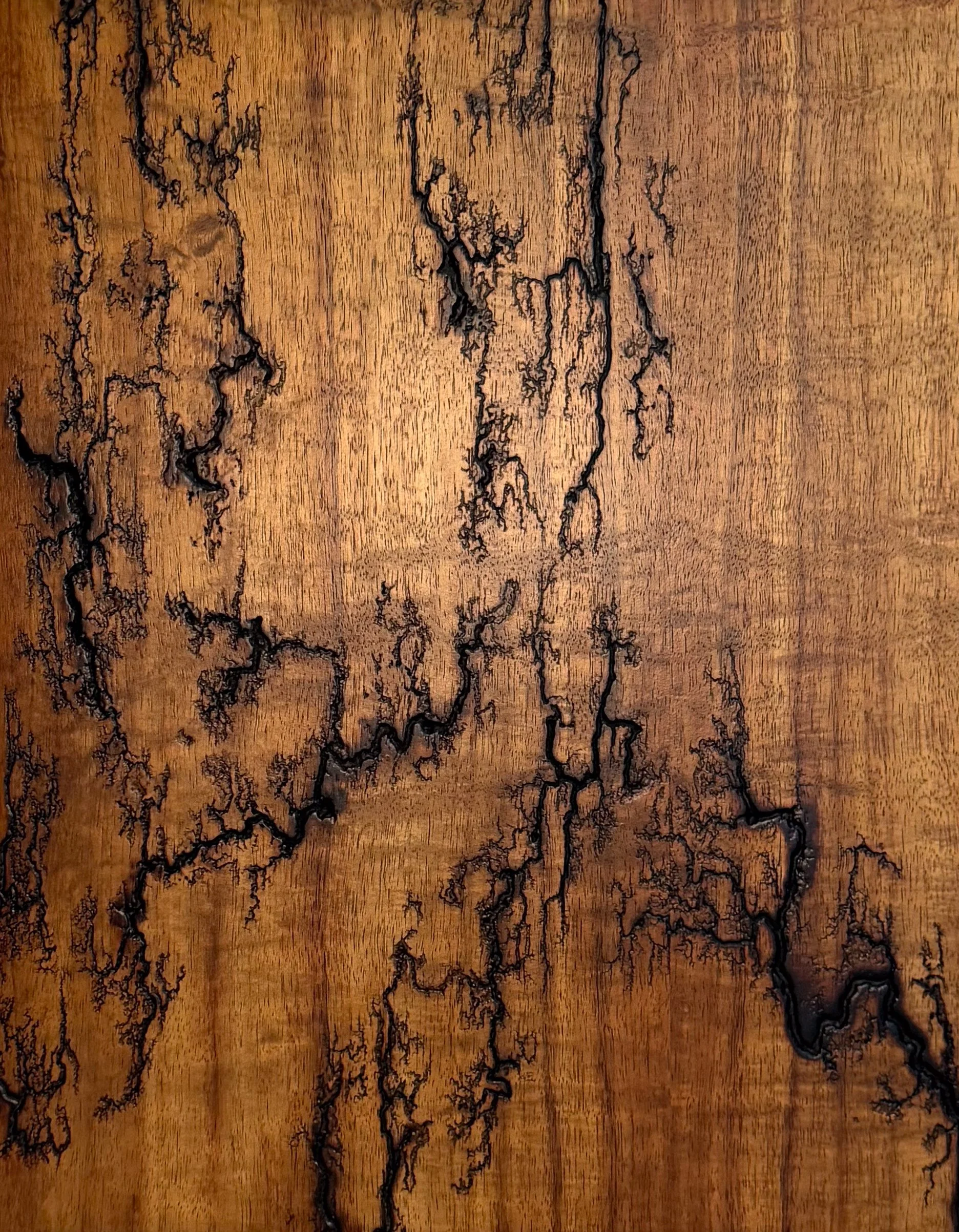 Fractal Burn Wood Art | Punk Rock Girl