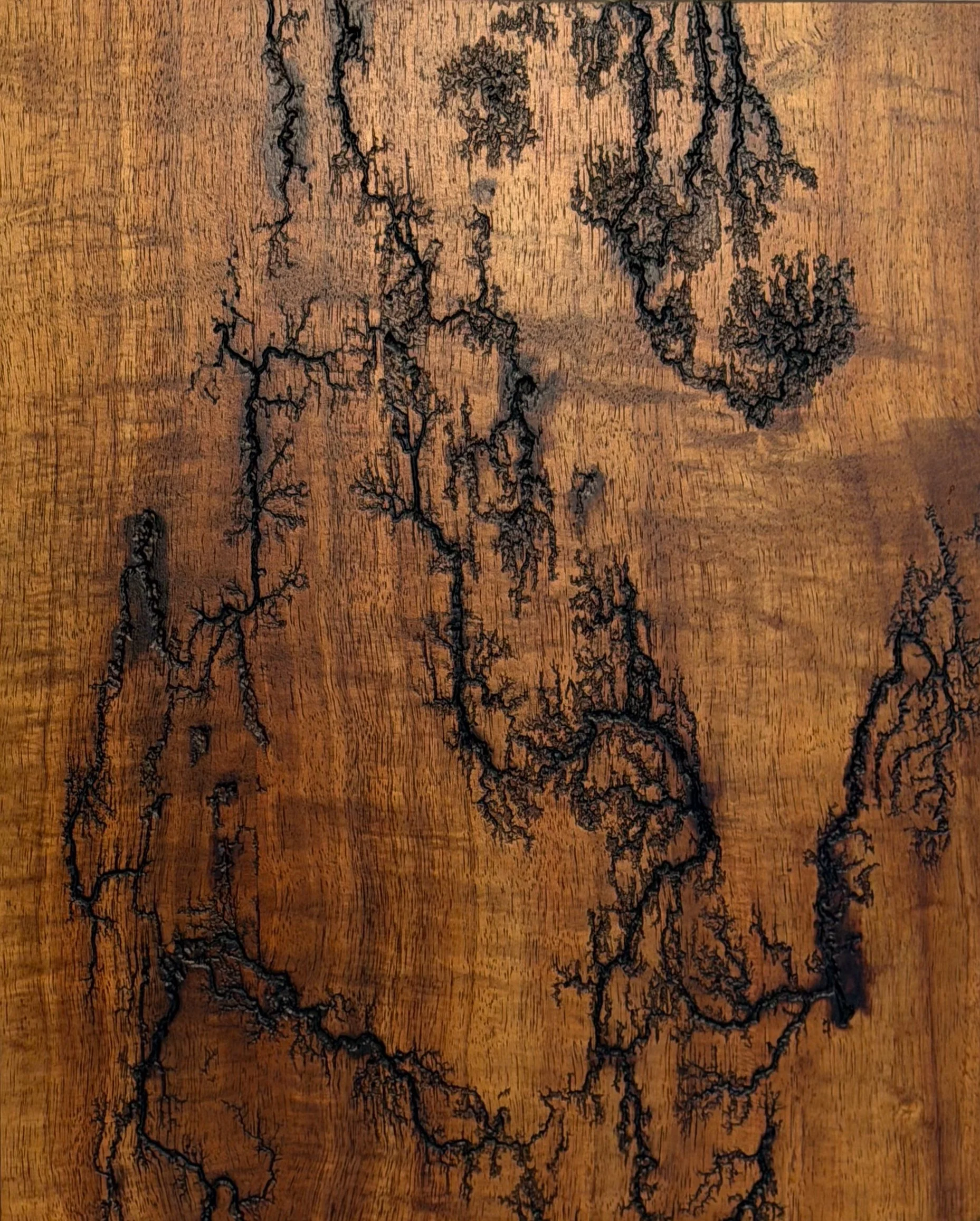 Fractal Burn Wood Art | Dragon 11