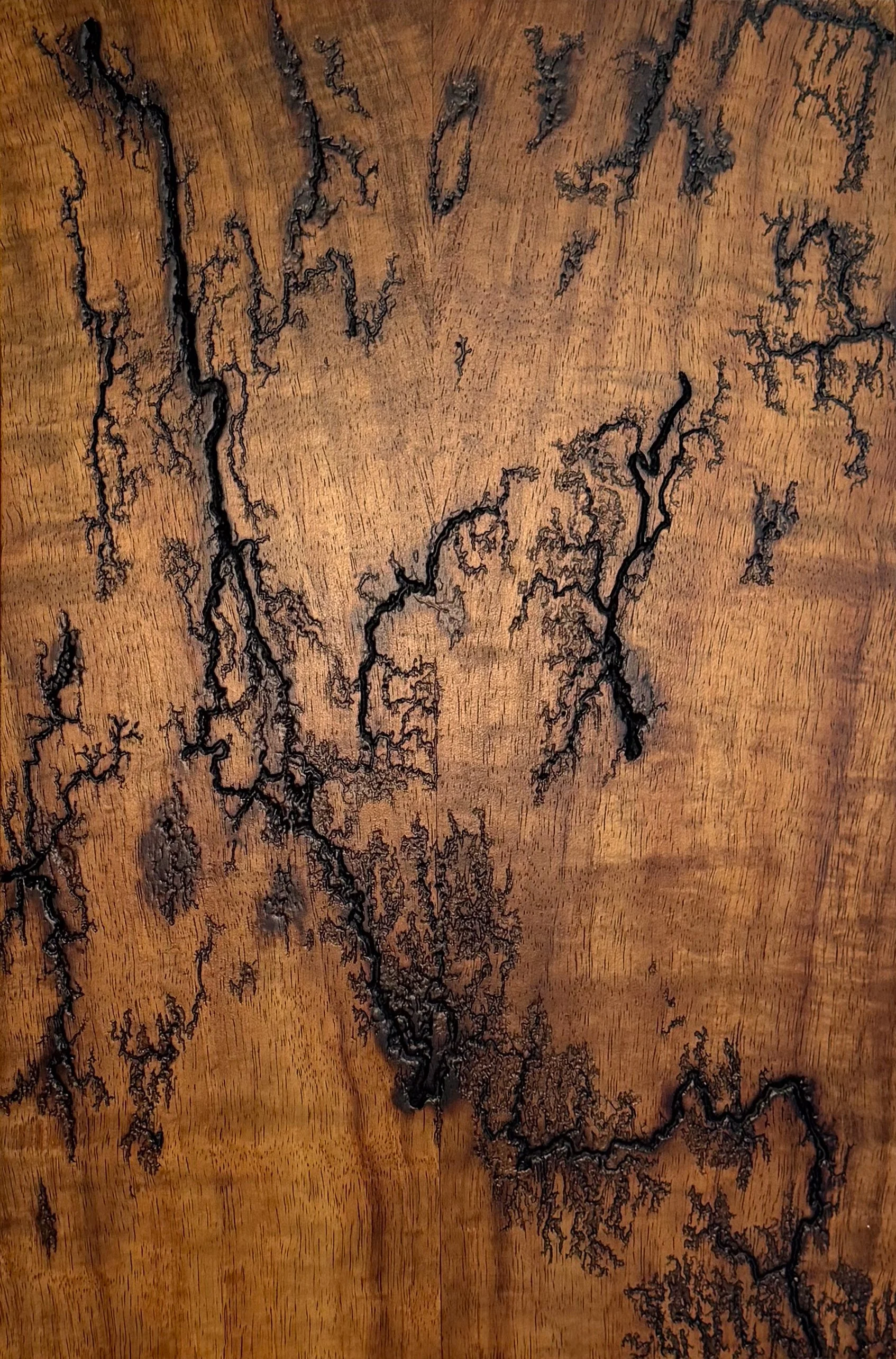 Fractal Burn Wood Art | Pet