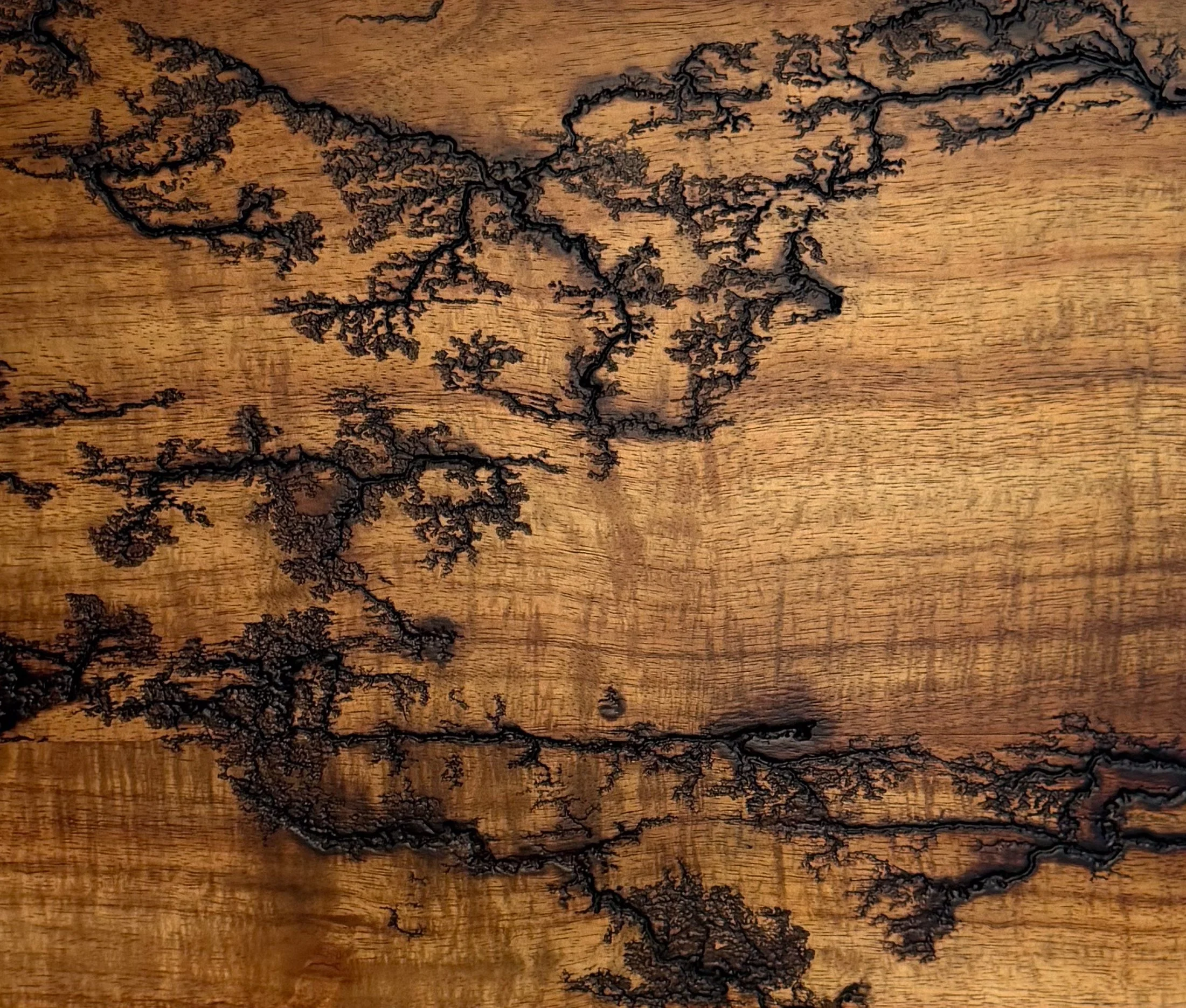 Fractal Wood Burn Art | Part of Me