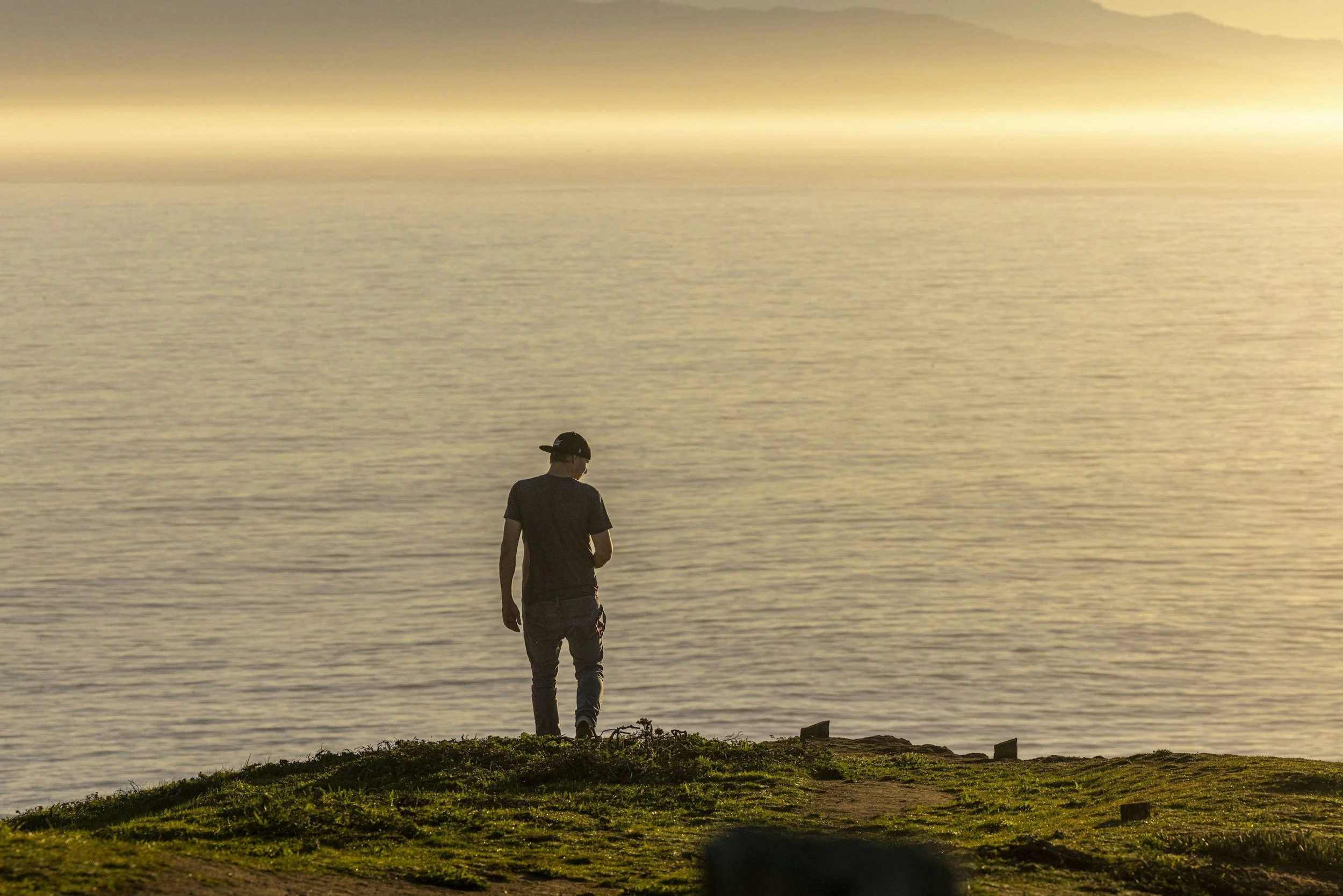 avoidant attachment therapy