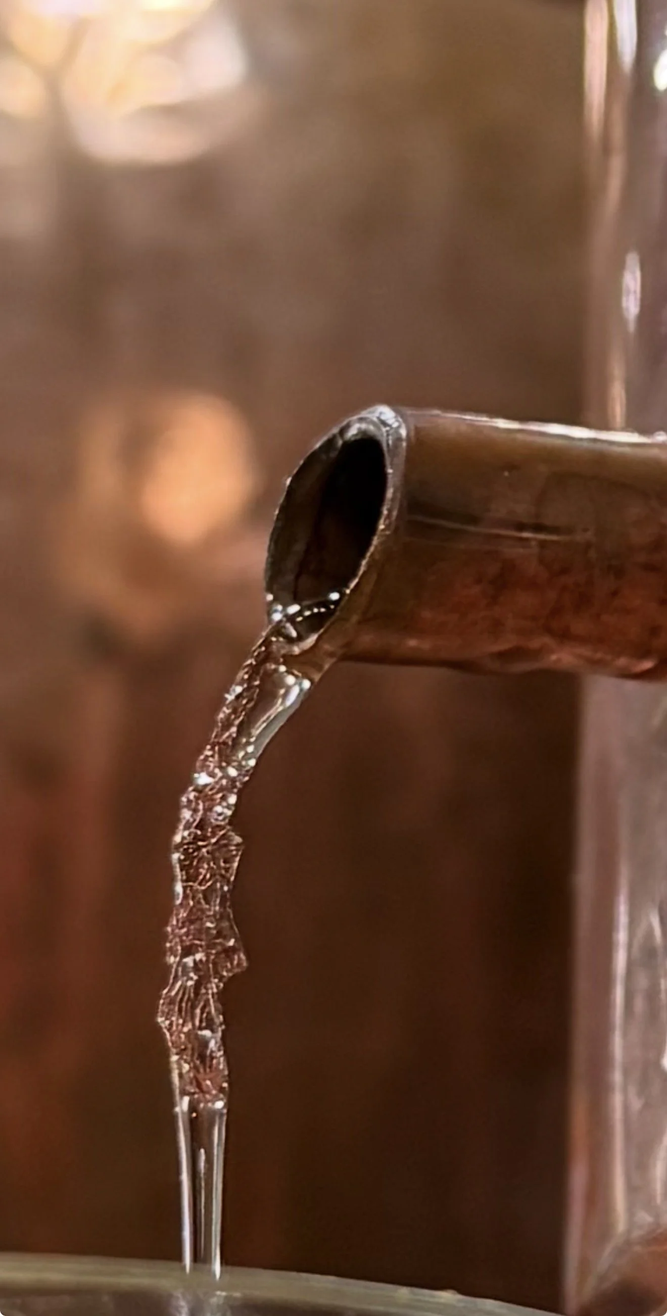 Treasure Coast Craft Spirits Festival