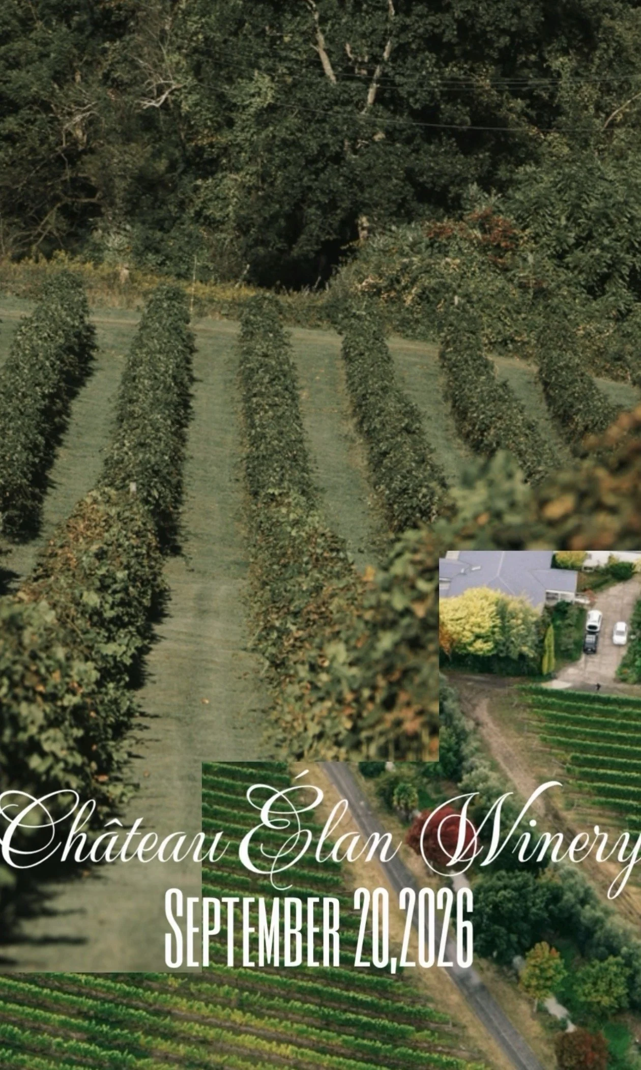 Vineyard Fest 2026
