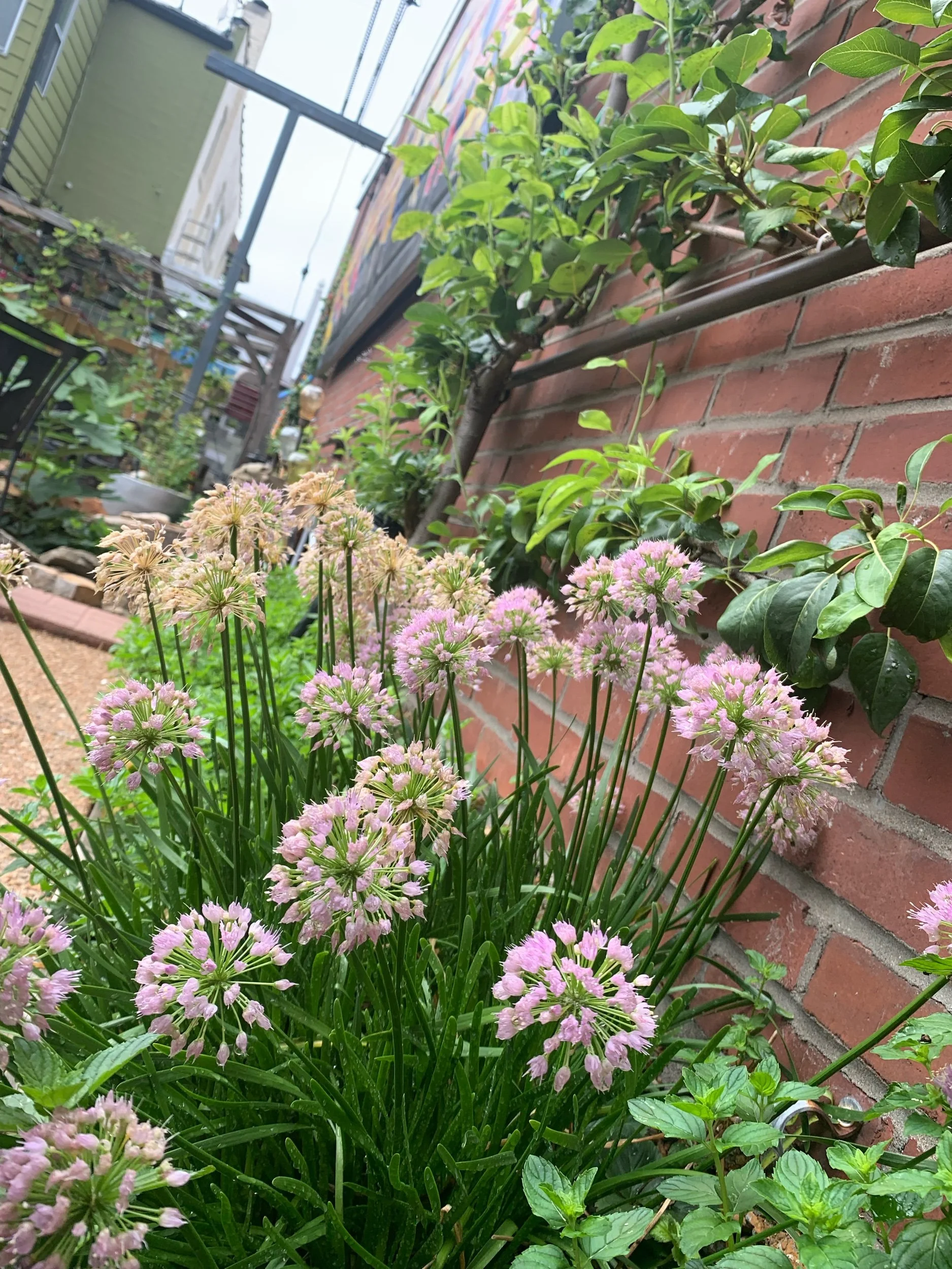 IMG_0967.jpeg