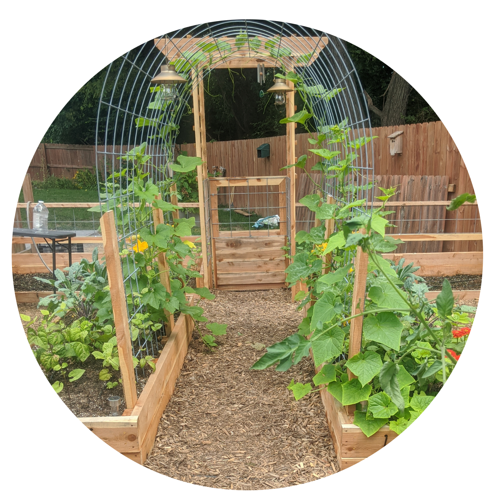 raised beds copy (1).png