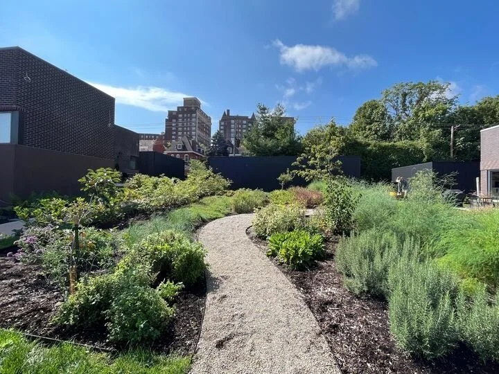 img_0976_720.jpg