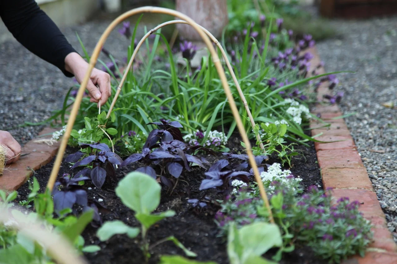 Home-Depot-Edible-Garden-Gardenista-11.jpg