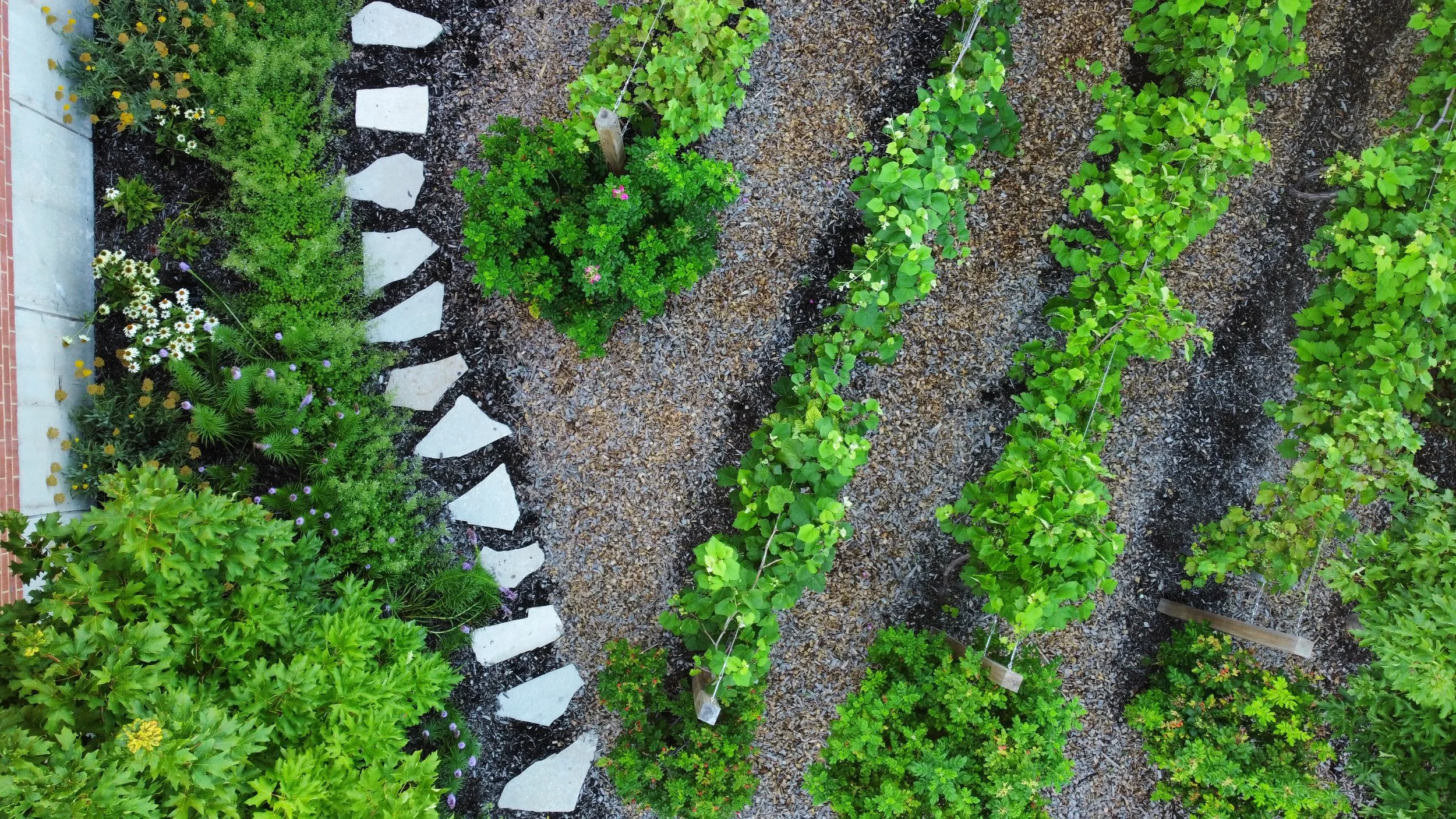 dji_fly_20240627_072820_532_1719491309448_photo_optimized.jpg
