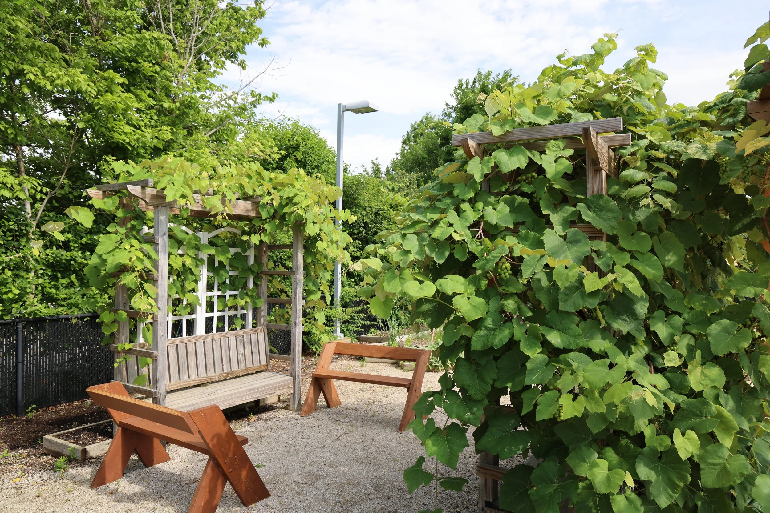 12.46 YMCA Grape Room.cr3 (1).jpg