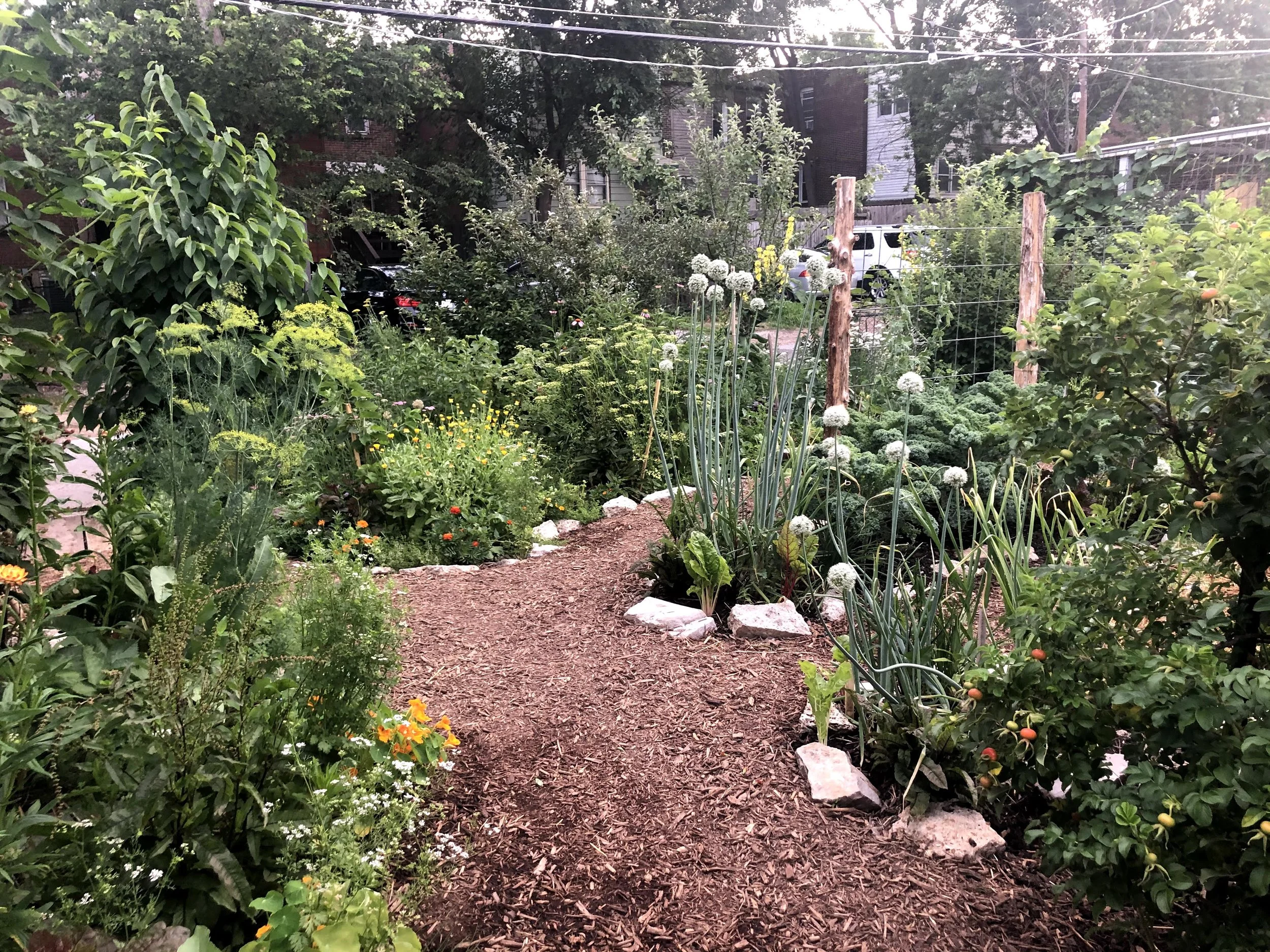 12.3 Gurney Backyard3.jpg