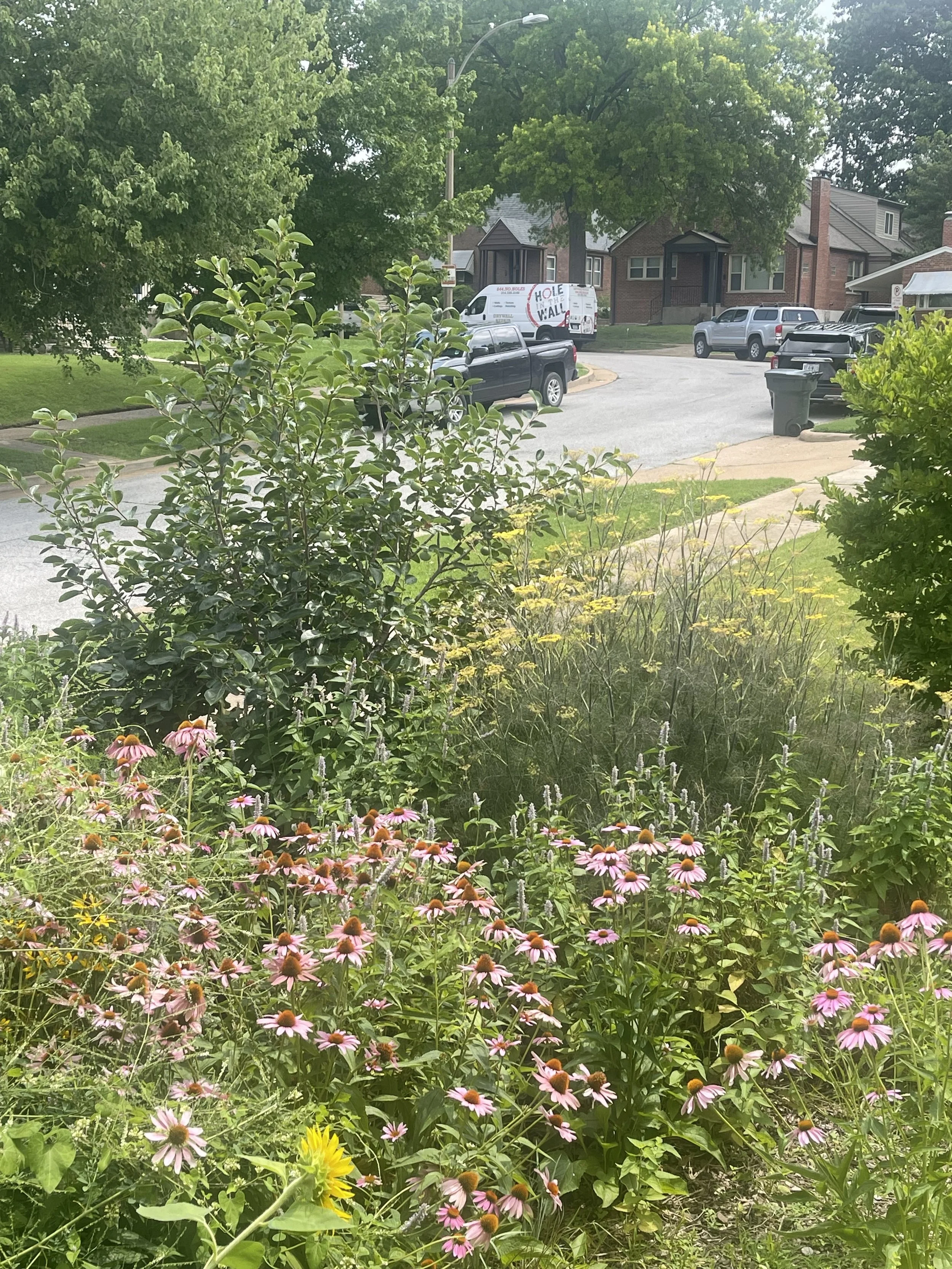 IMG_5017.jpeg