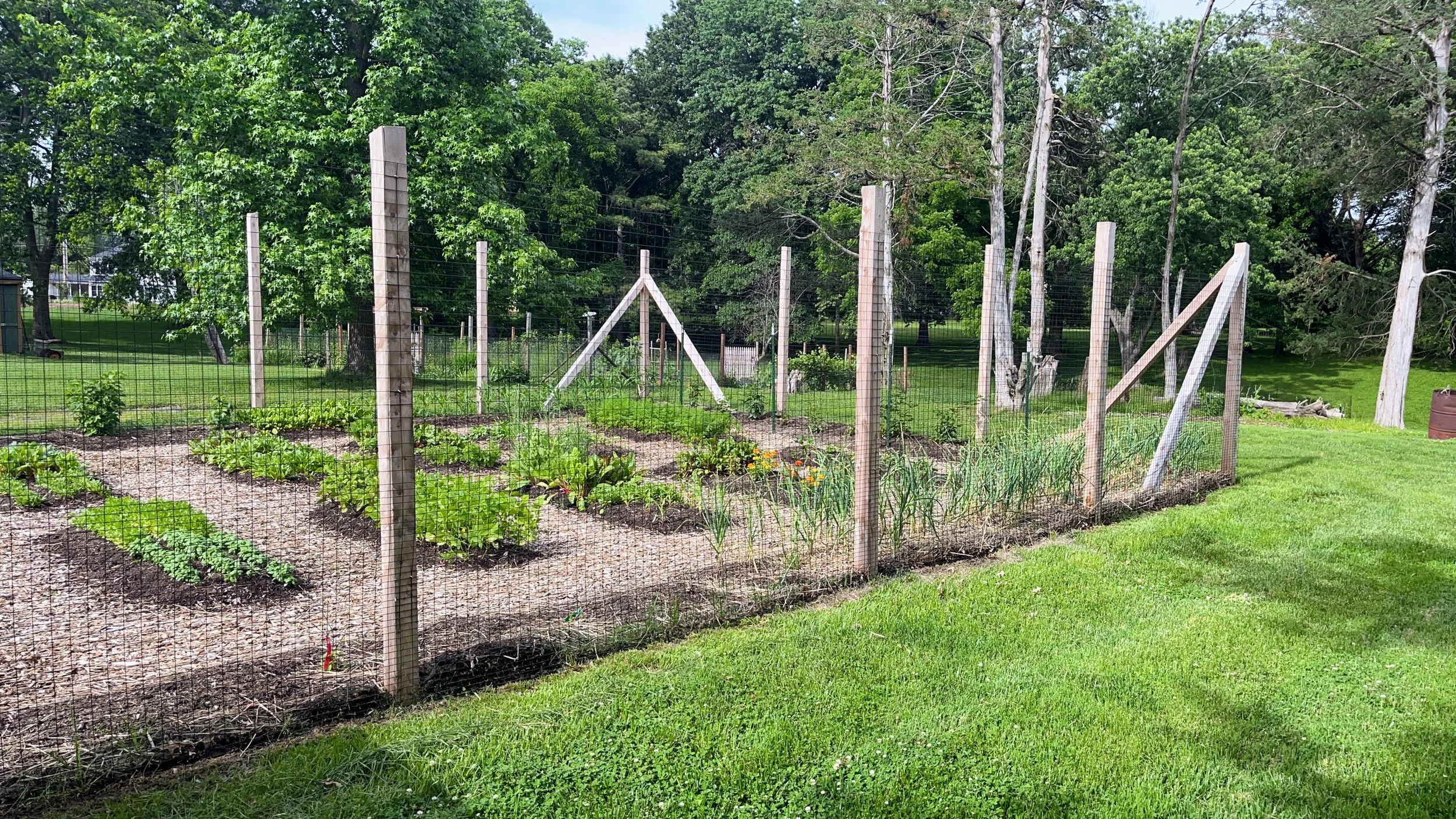 4.29 Deer Fence.JPG