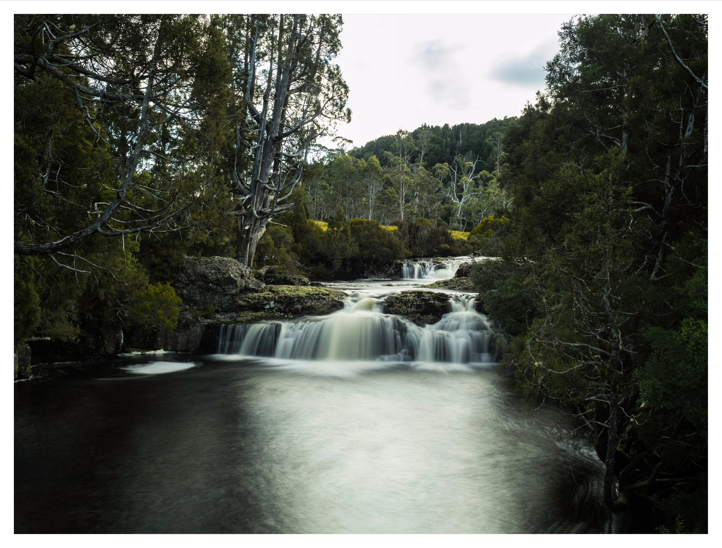 Tassie100%20POTD3 Edited.jpg