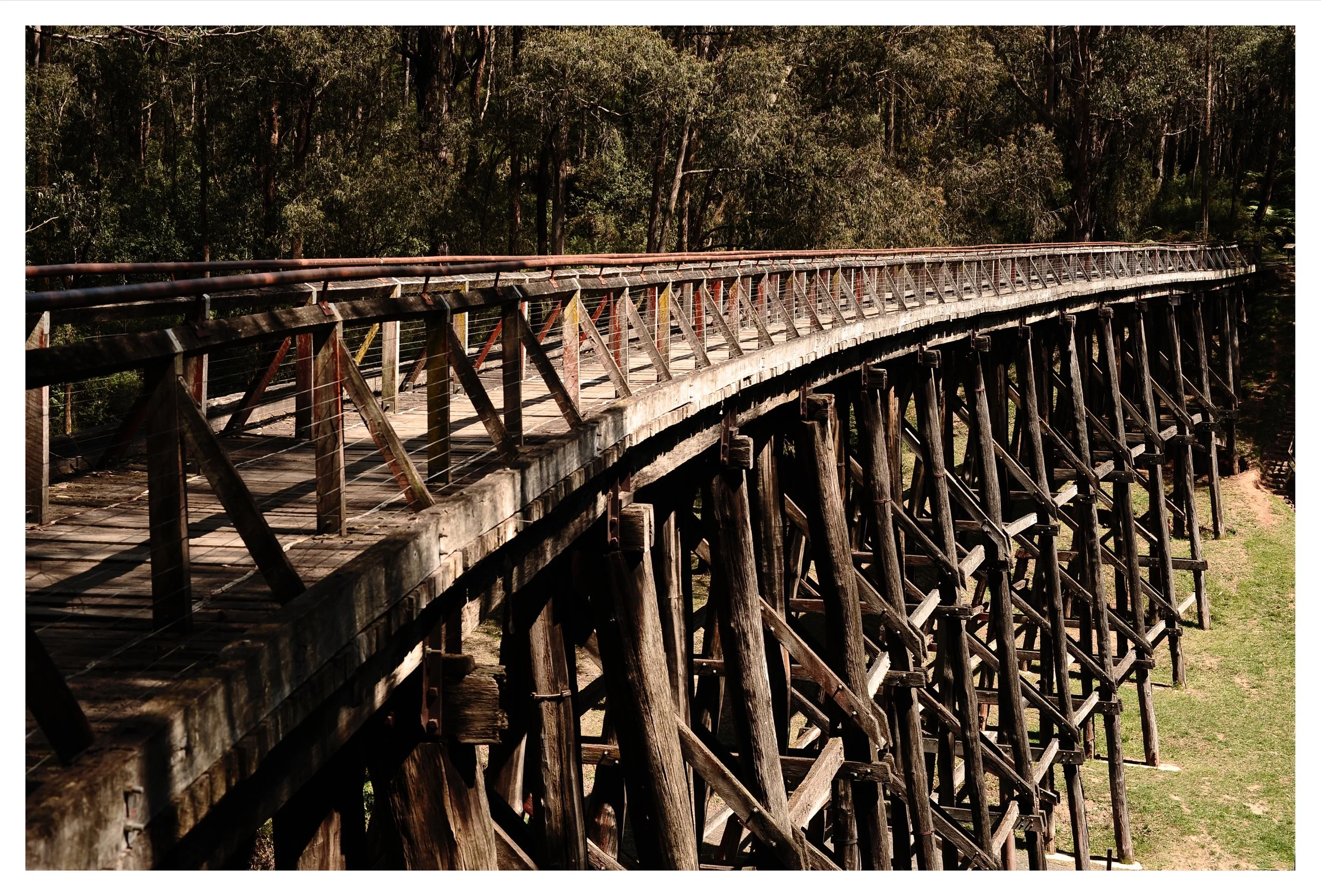 _DSC6845%20Edited Edited.jpg