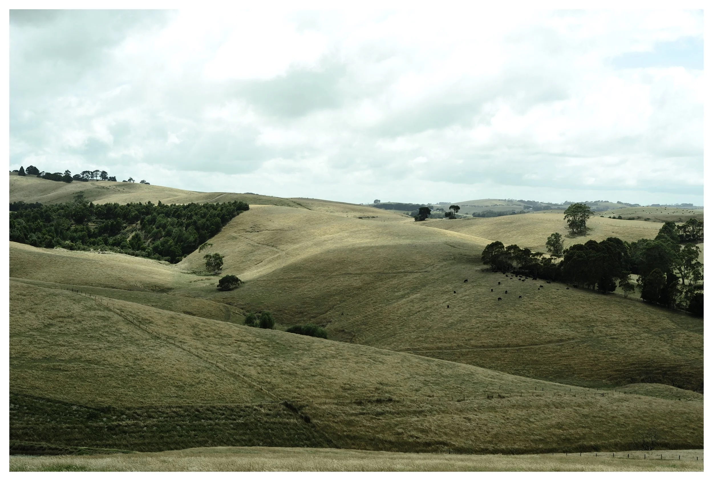 Exp July 2025 30.jpg